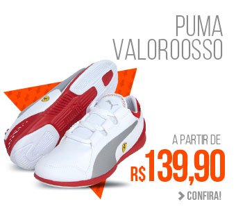 Puma Valorosso