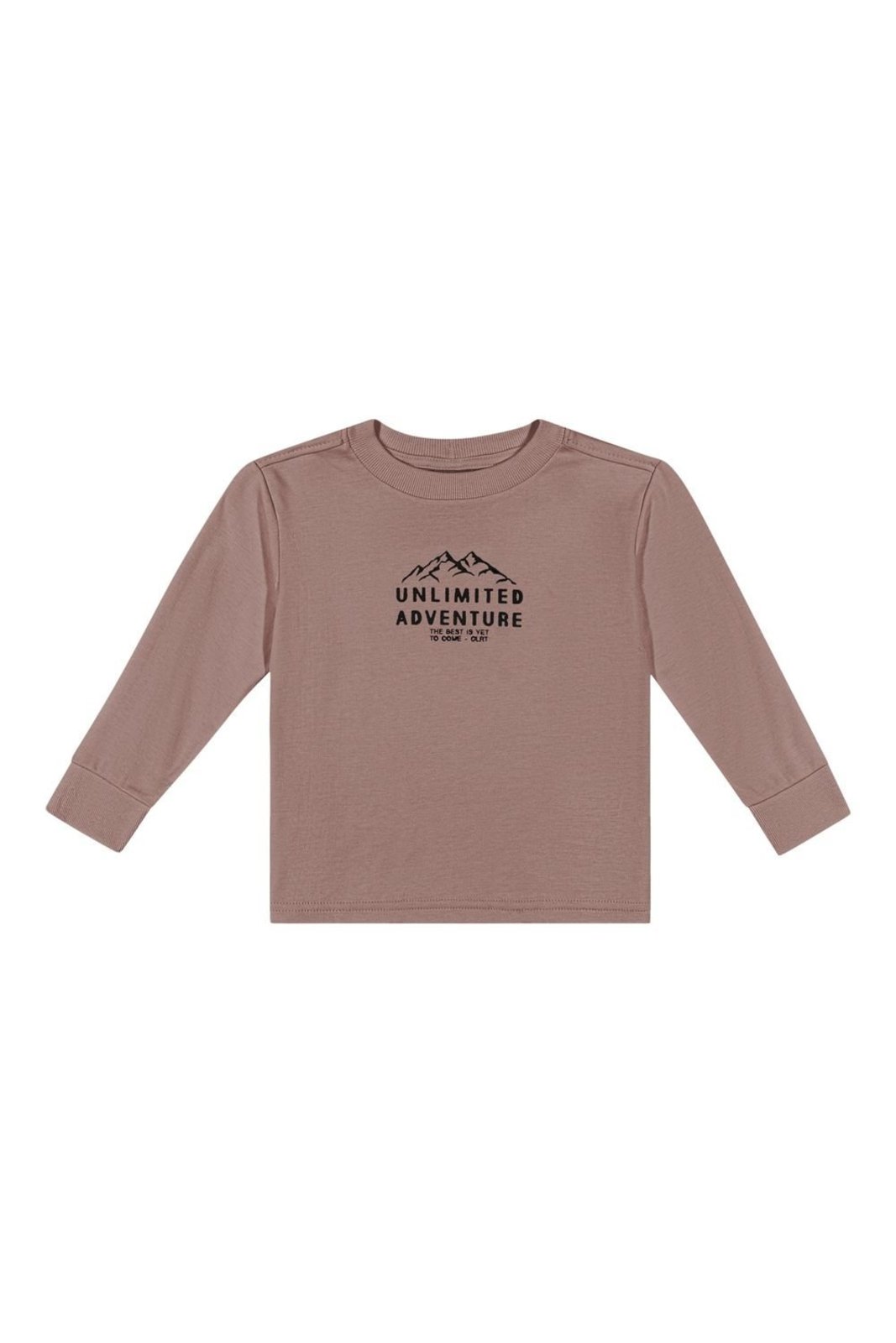 Infantil - Camiseta Menino Adventure Colorittá Marrom