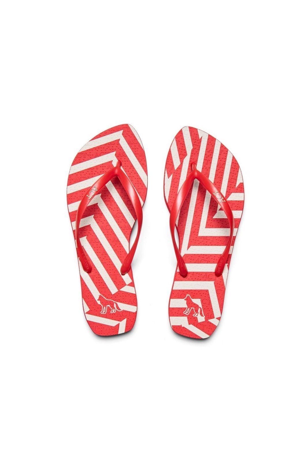 Chinelo Geométrico Folha ACT Feminino