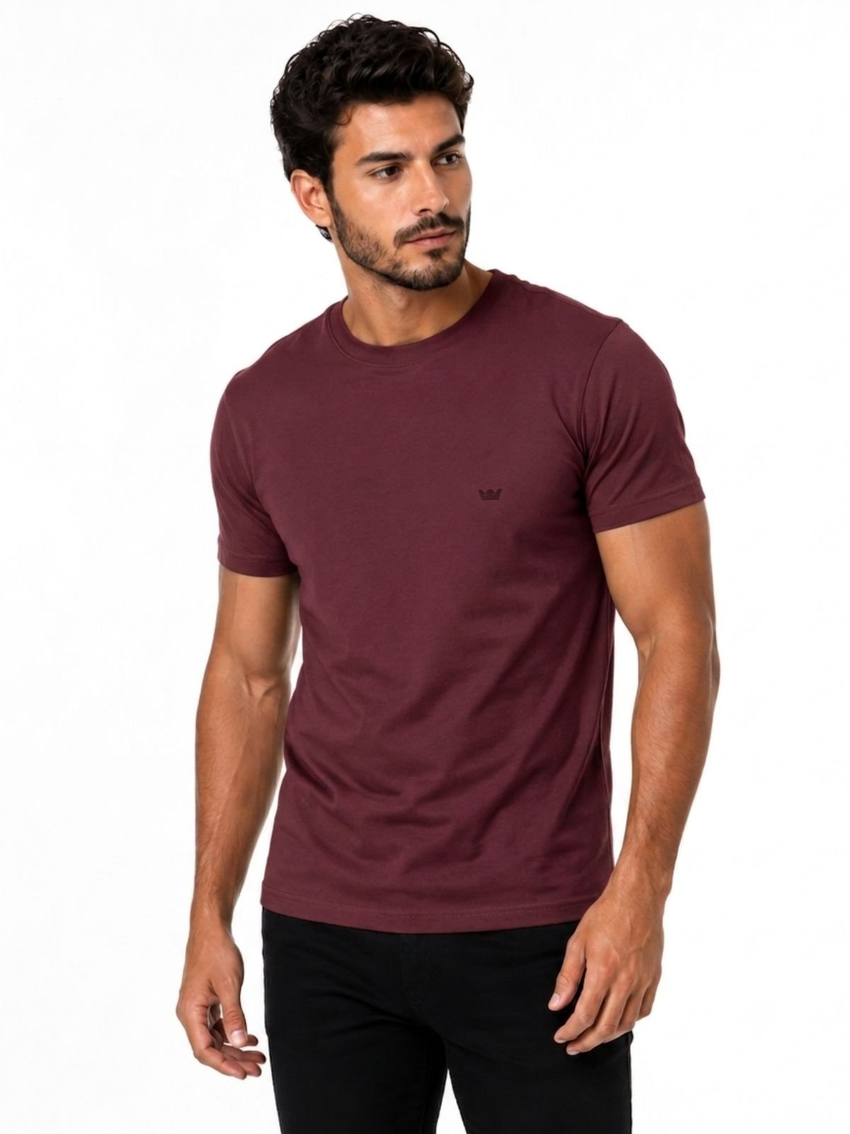 CAMISETA CLUB POLO COLLECTION BORDO