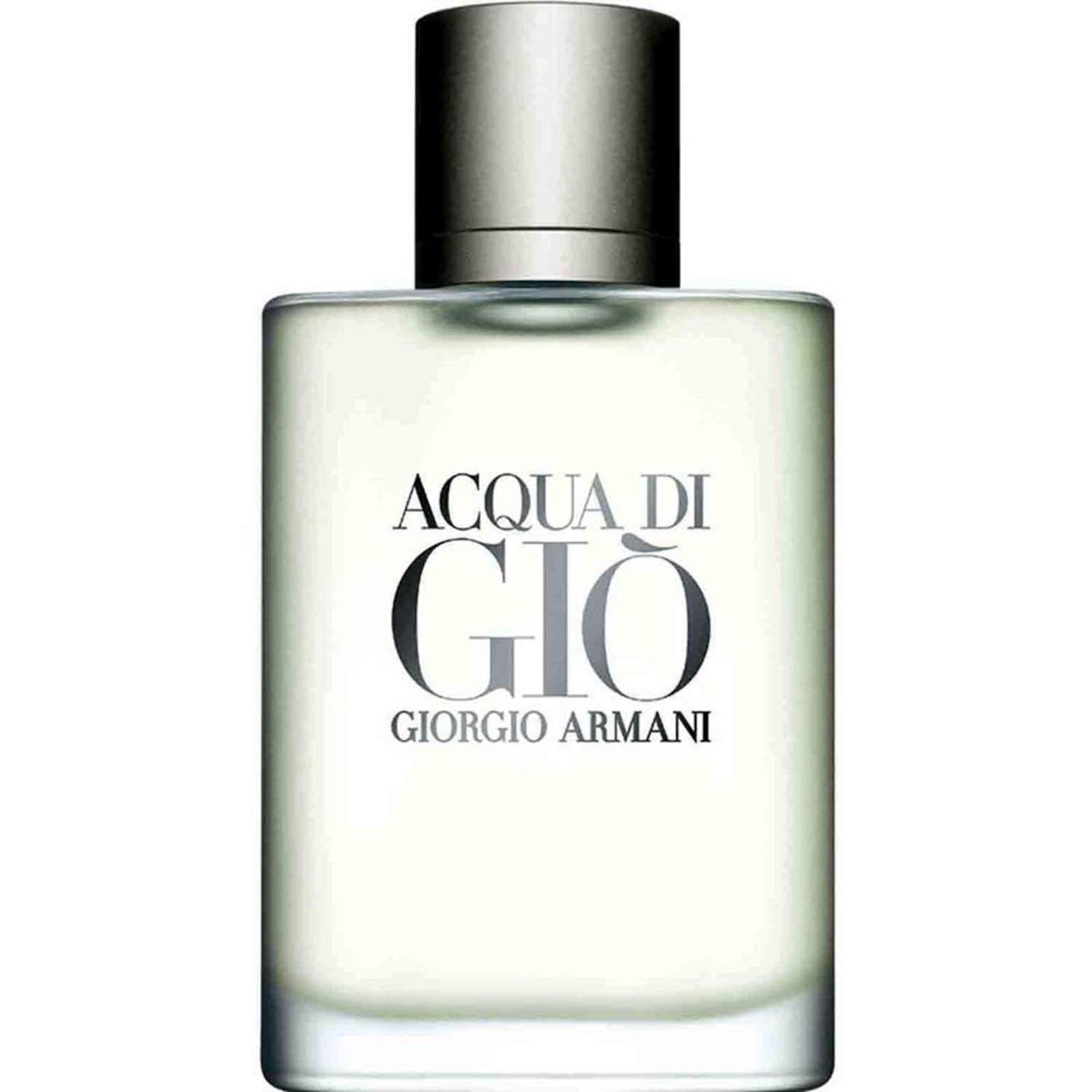 Acqua Di Gio Masculino Eau de Toilette 100 ml Incolor