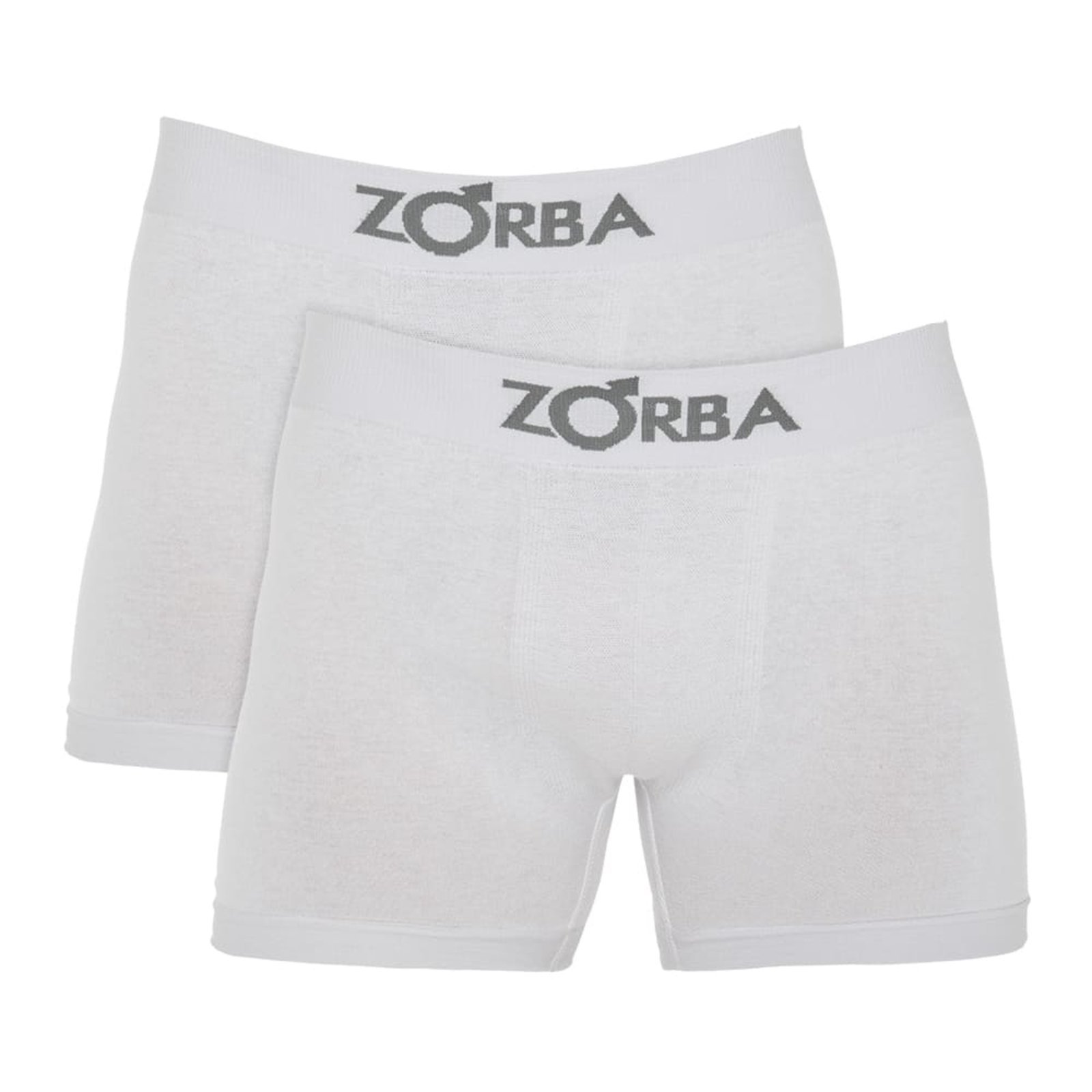 Cueca Zorba Boxer Microfibra Sem Costura 781 C/2