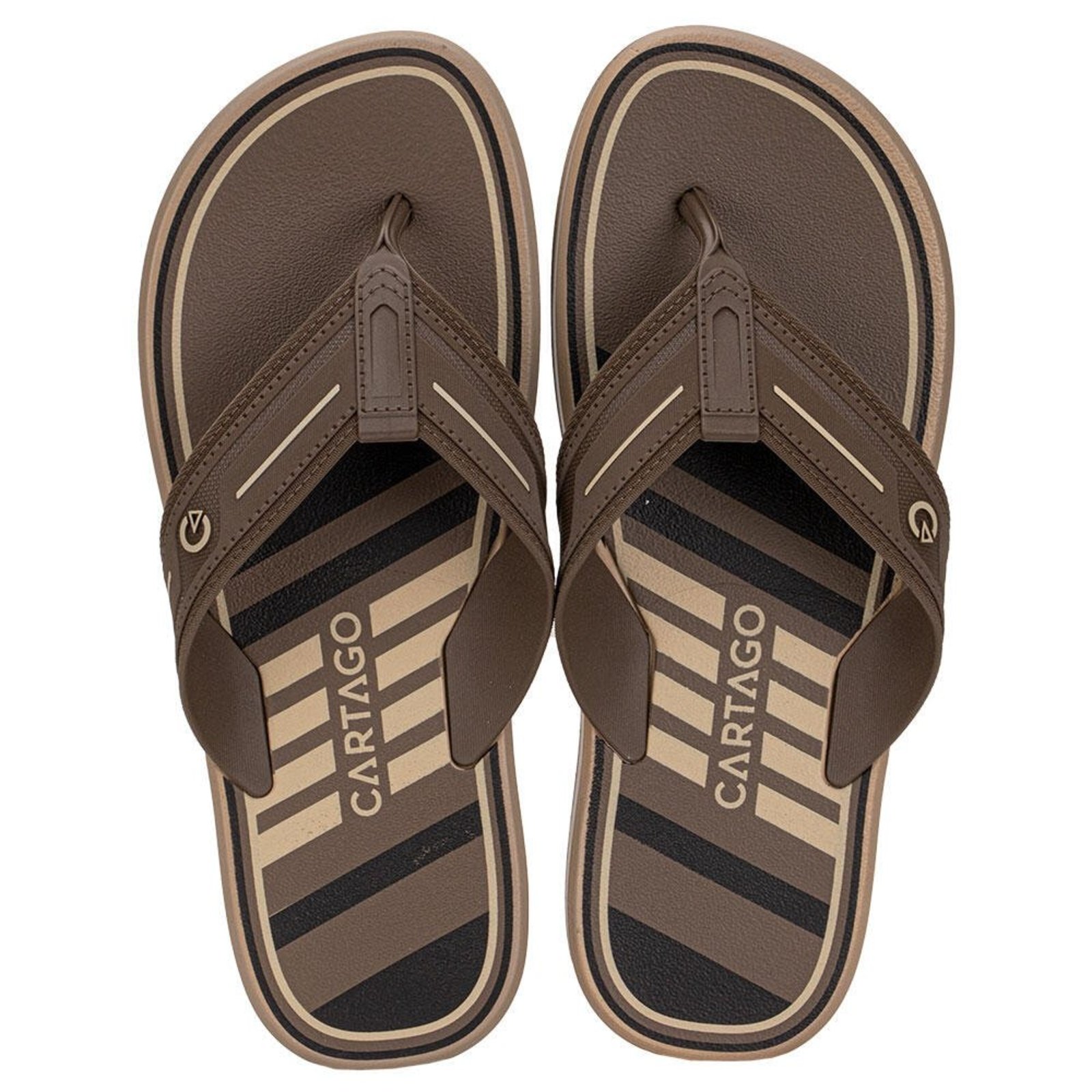 Chinelo Masculino Palermo Ii Cartago 12572 A3292572 Café