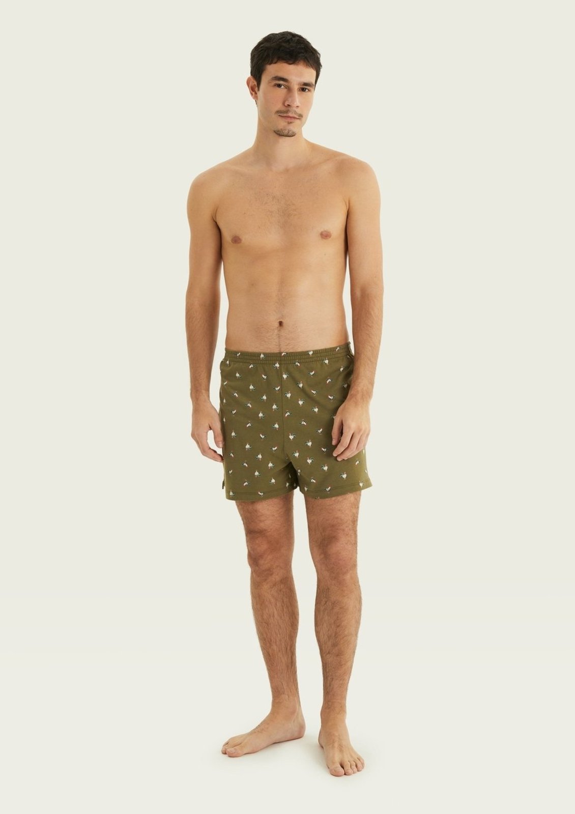 Cueca Samba Canção Estampada + Saquinho Presenteável Hering