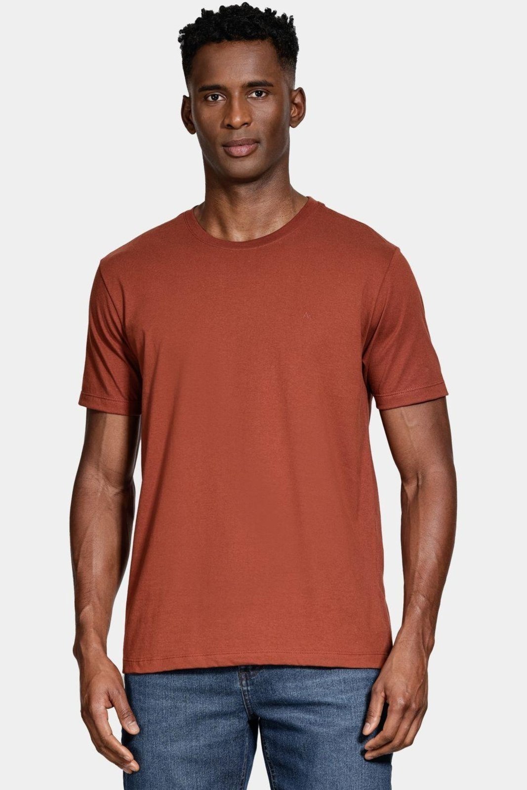 Camiseta Aramis Manga Curta Bordado básica Tijolo