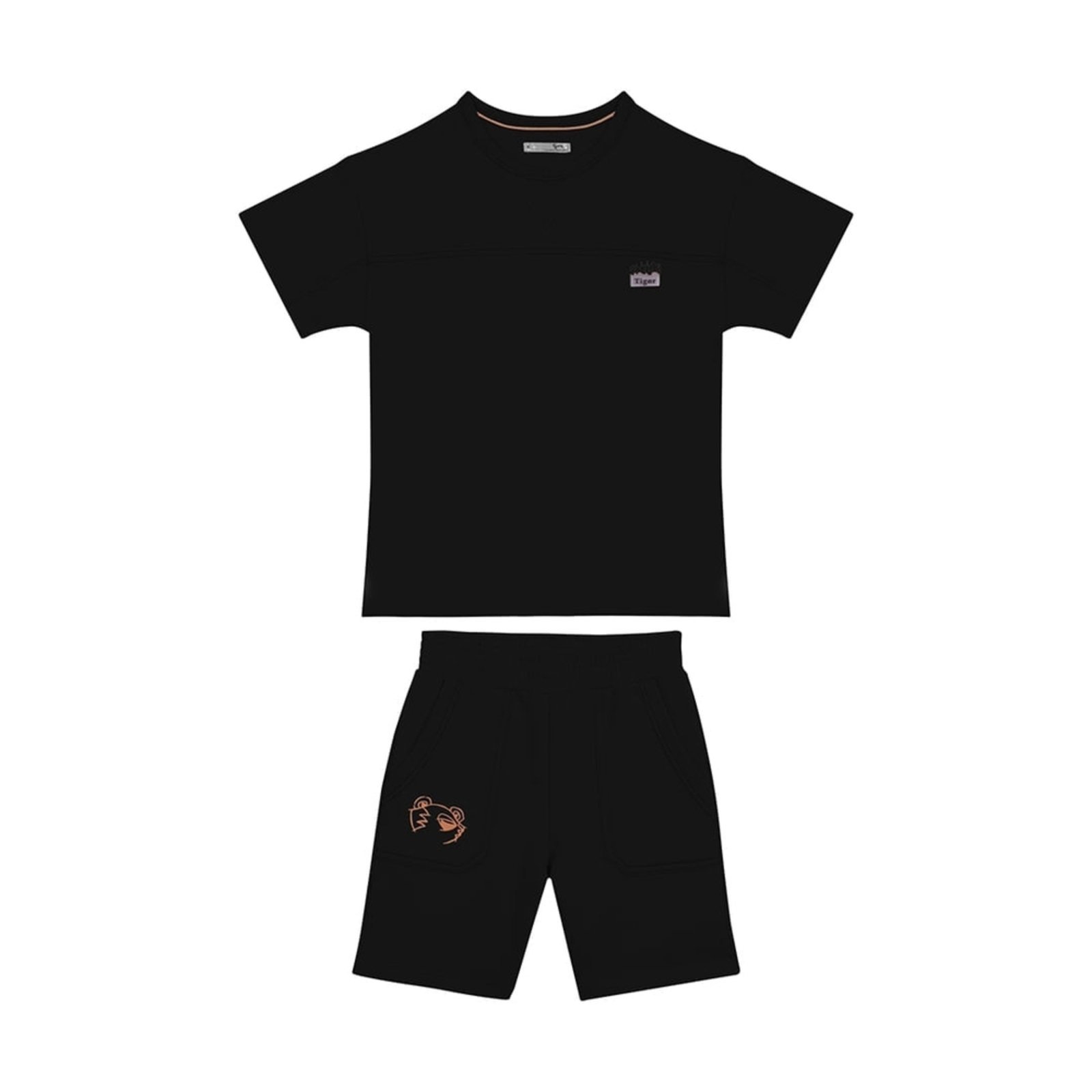 Infantil - Conjunto Curto Masculino Tigor T. Tigre