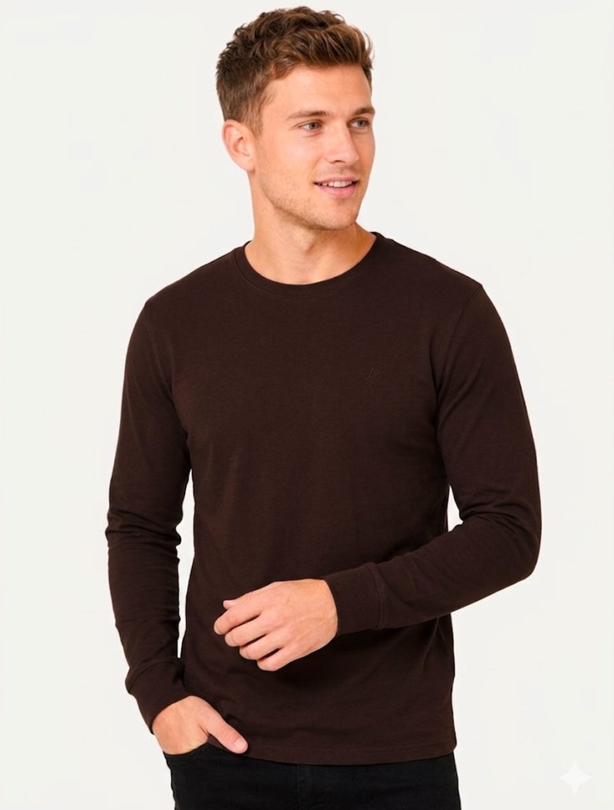 Camiseta Aramis Masculina Manga Longa Basica Mono Logo Marrom Café