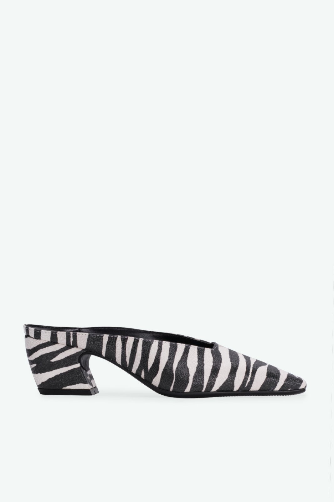 Mule Sierra Zebra Suzana Santos