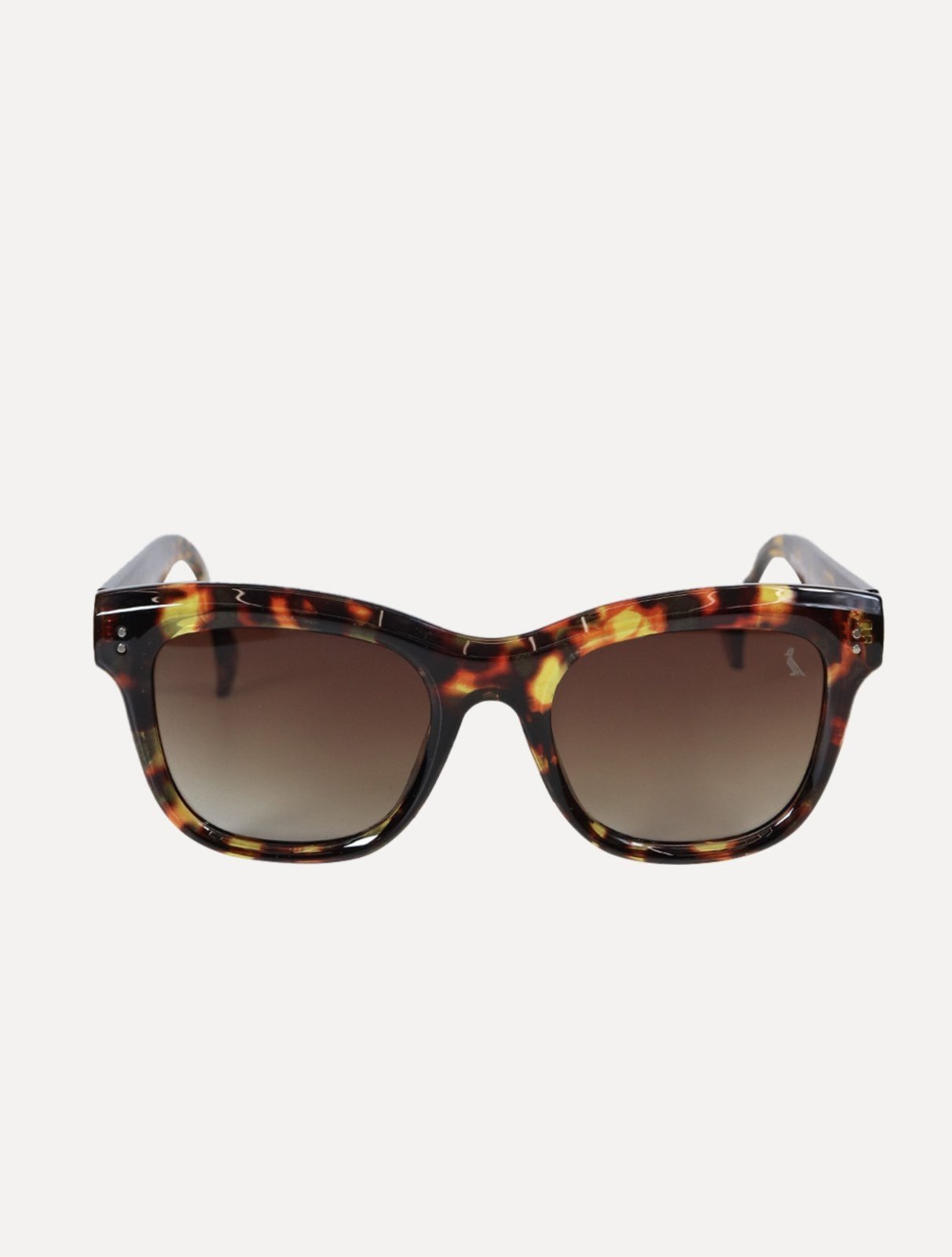 Óculos Reserva de Sol Masculino Groove Tortoise