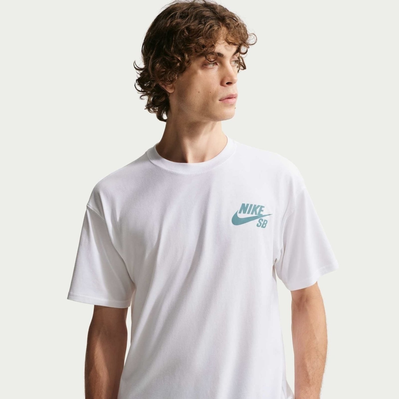 Camiseta Nike SB Masculina