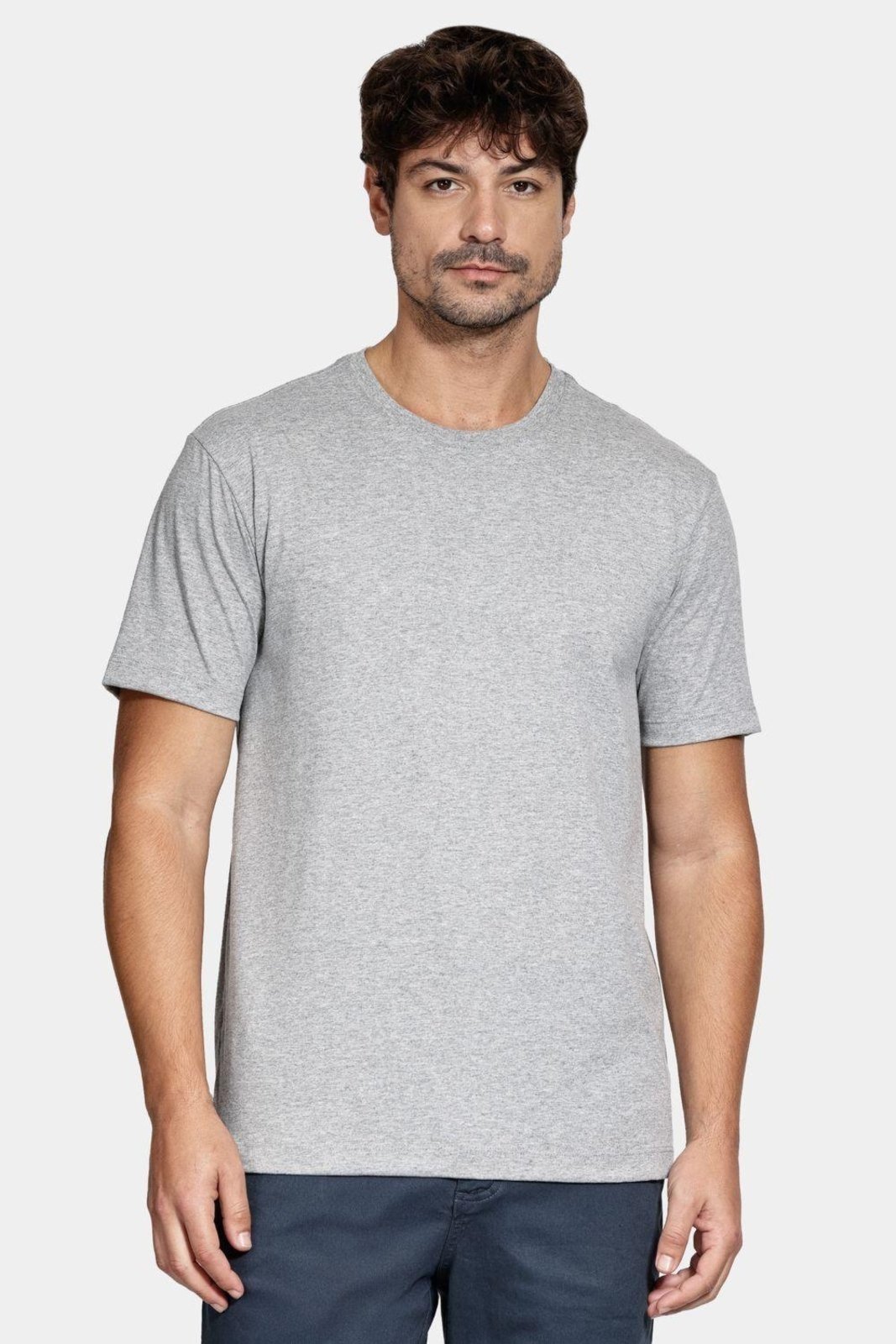 Camiseta Aramis Manga Curta Básica Cinza
