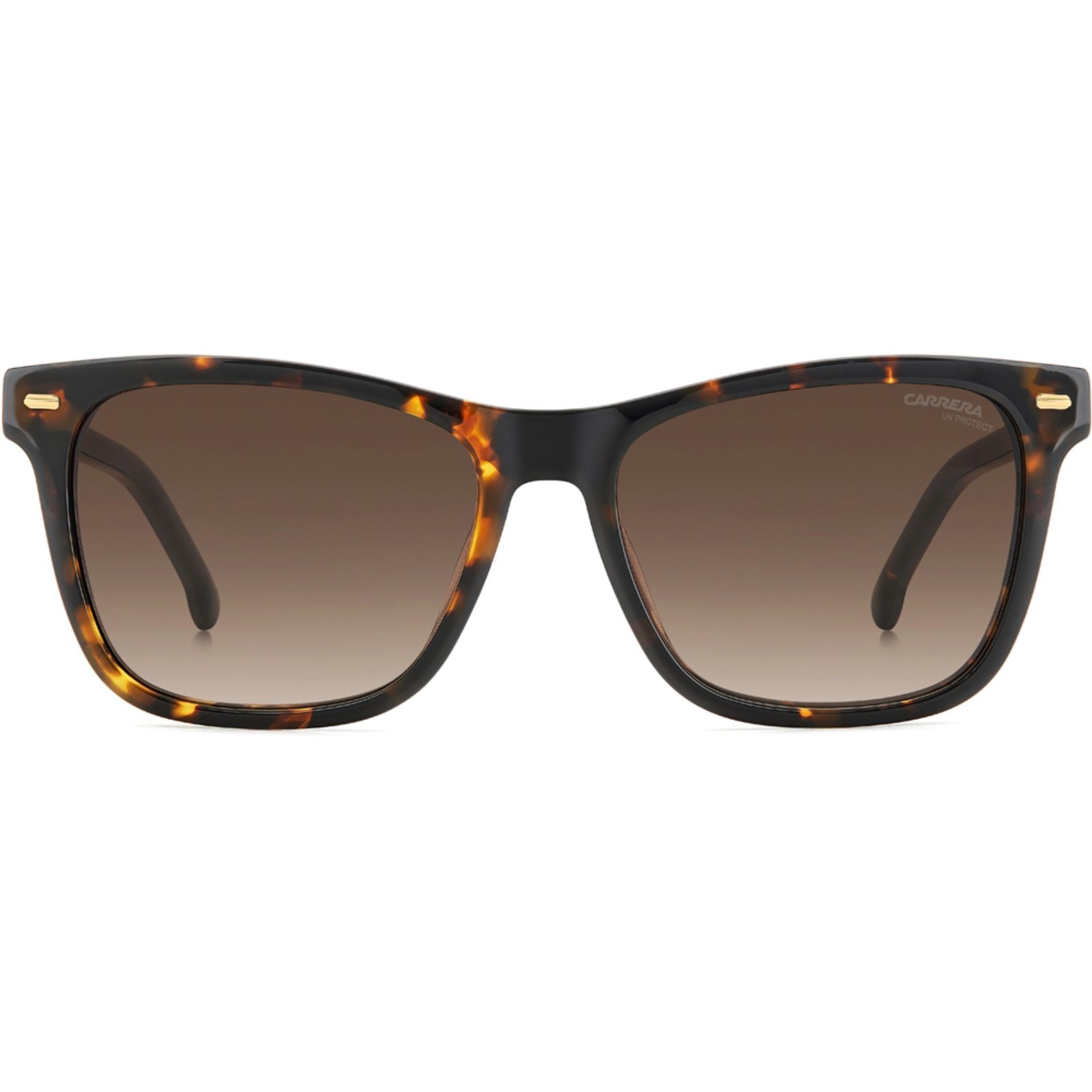 Vista 3 Óculos de Sol Carrera 3001 S 086 54HA Feminino marrom Carrera marrom