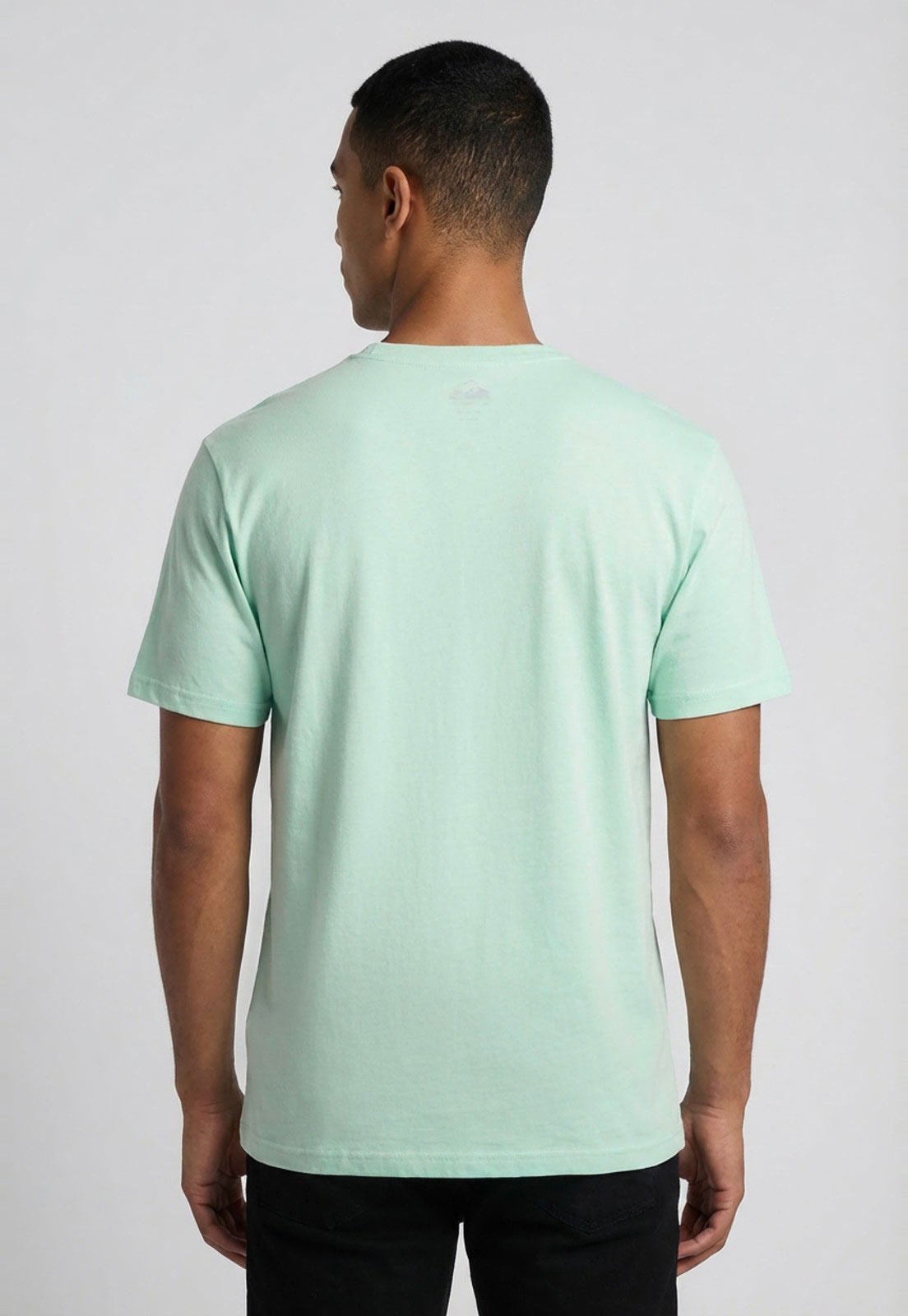 Camiseta Masculina Quiksilver Mini Omni Verde