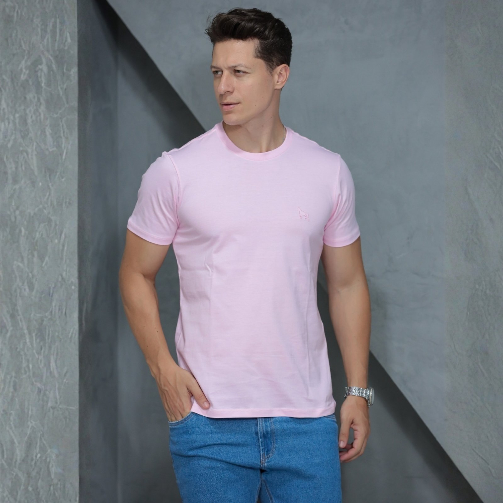 Camiseta Basica Manga Curta Masculino Revanche Foggiano