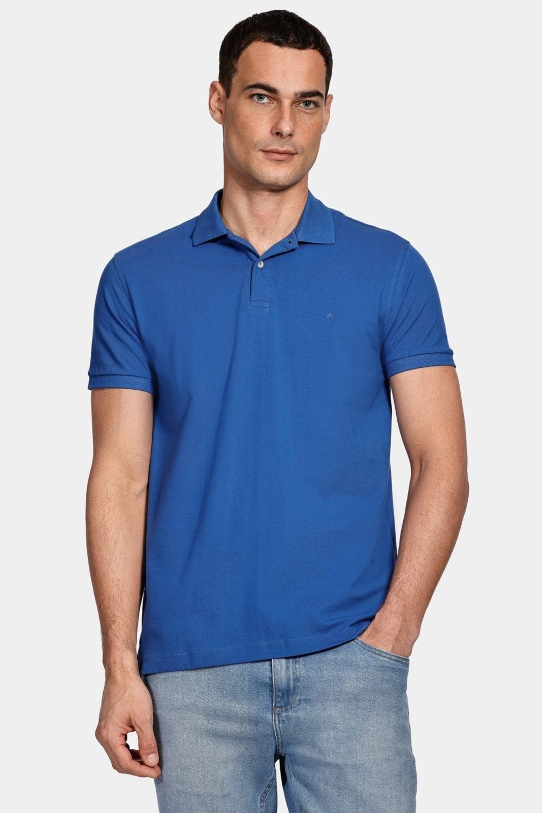 Polo Aramis Piquet Azul