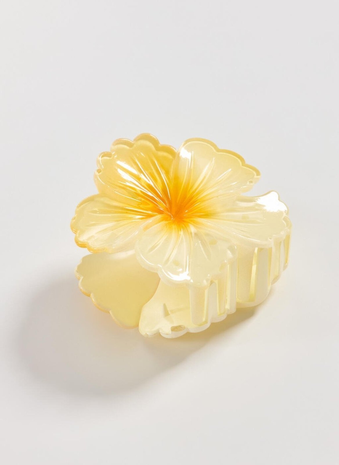 Vista 3 Piranha Flor Amarela Youcom amarelo Youcom amarelo