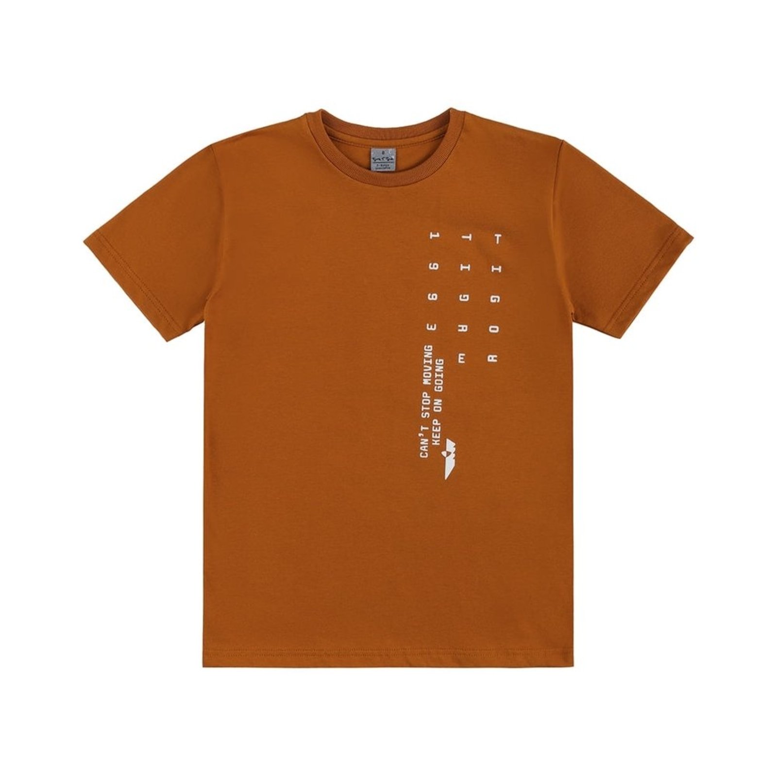 Infantil - Camiseta Manga Curta Menino Tigor T. Tigre