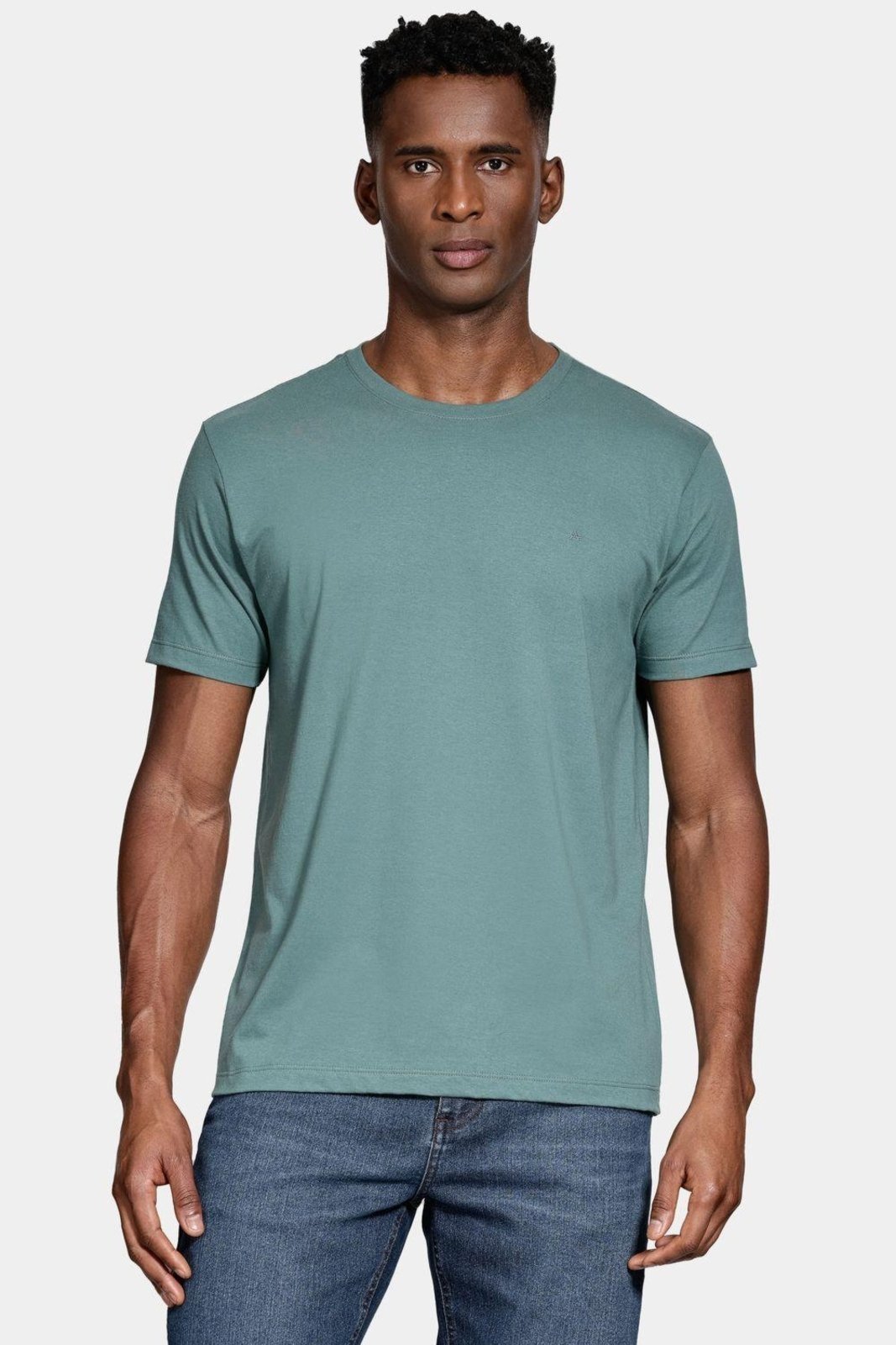 Camiseta Aramis Manga Curta Bordado básica Verde