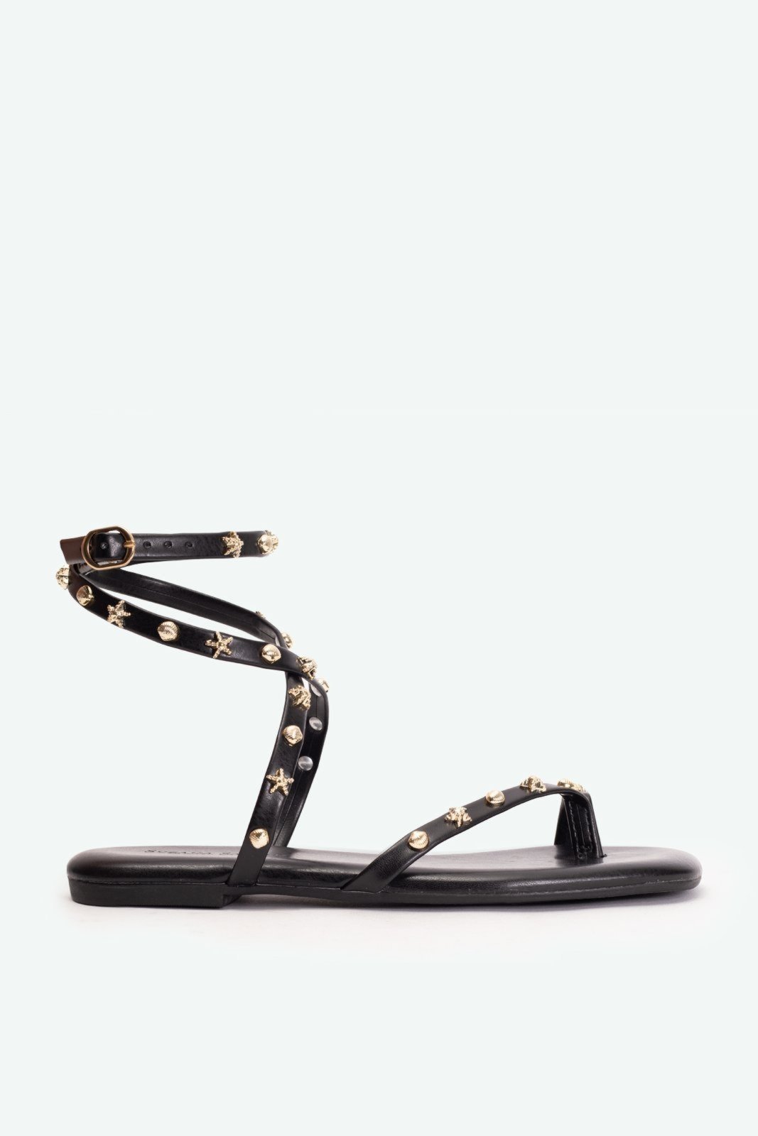 Flat Vanessa Preto Suzana Santos