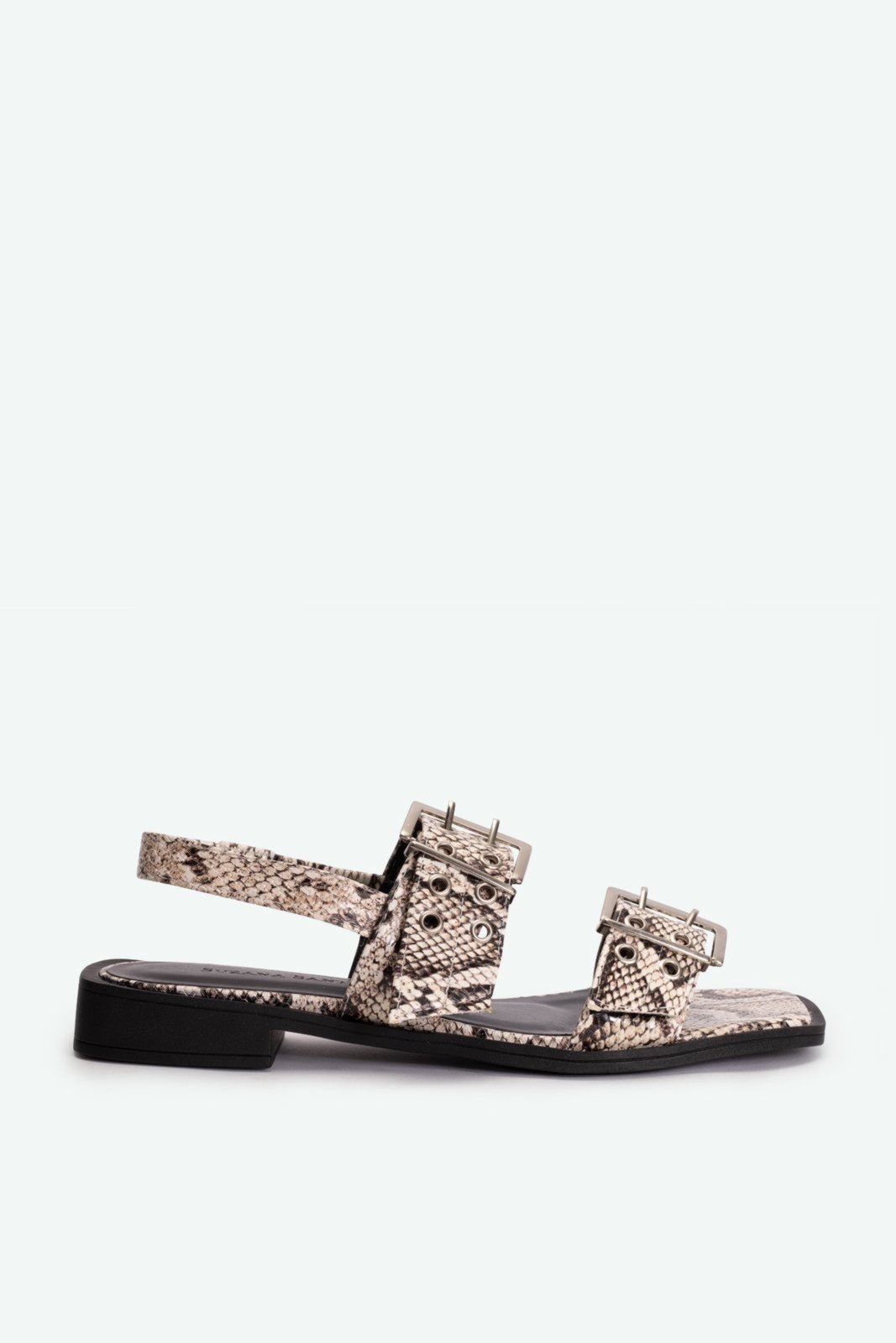 Flat Madison Cobra Suzana Santos
