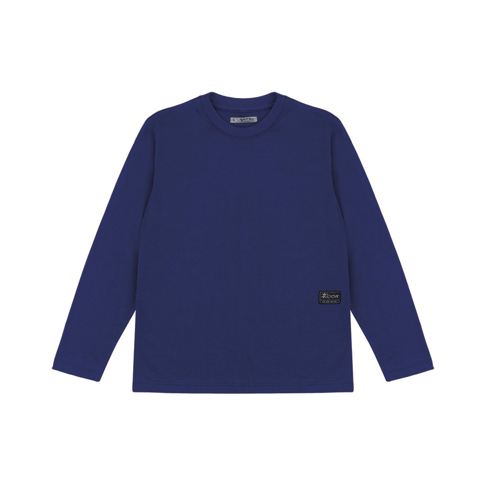 Infantil - Camiseta Manga Longa Menino Tigor T. Tigre