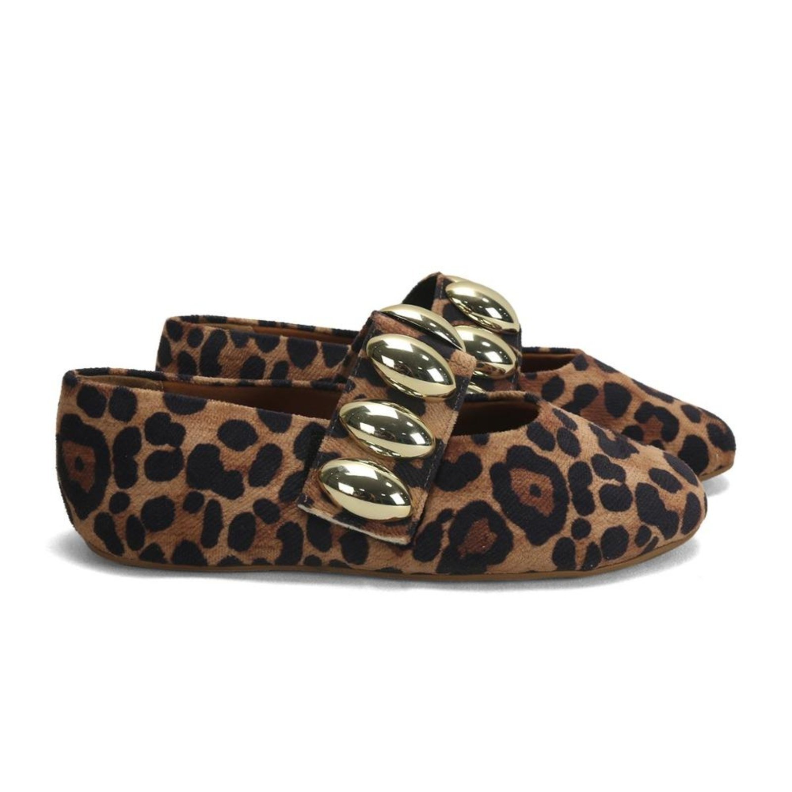 Sapatilha Animal Print com Maxi Enfeites Ana Mello Estilosa Incolor