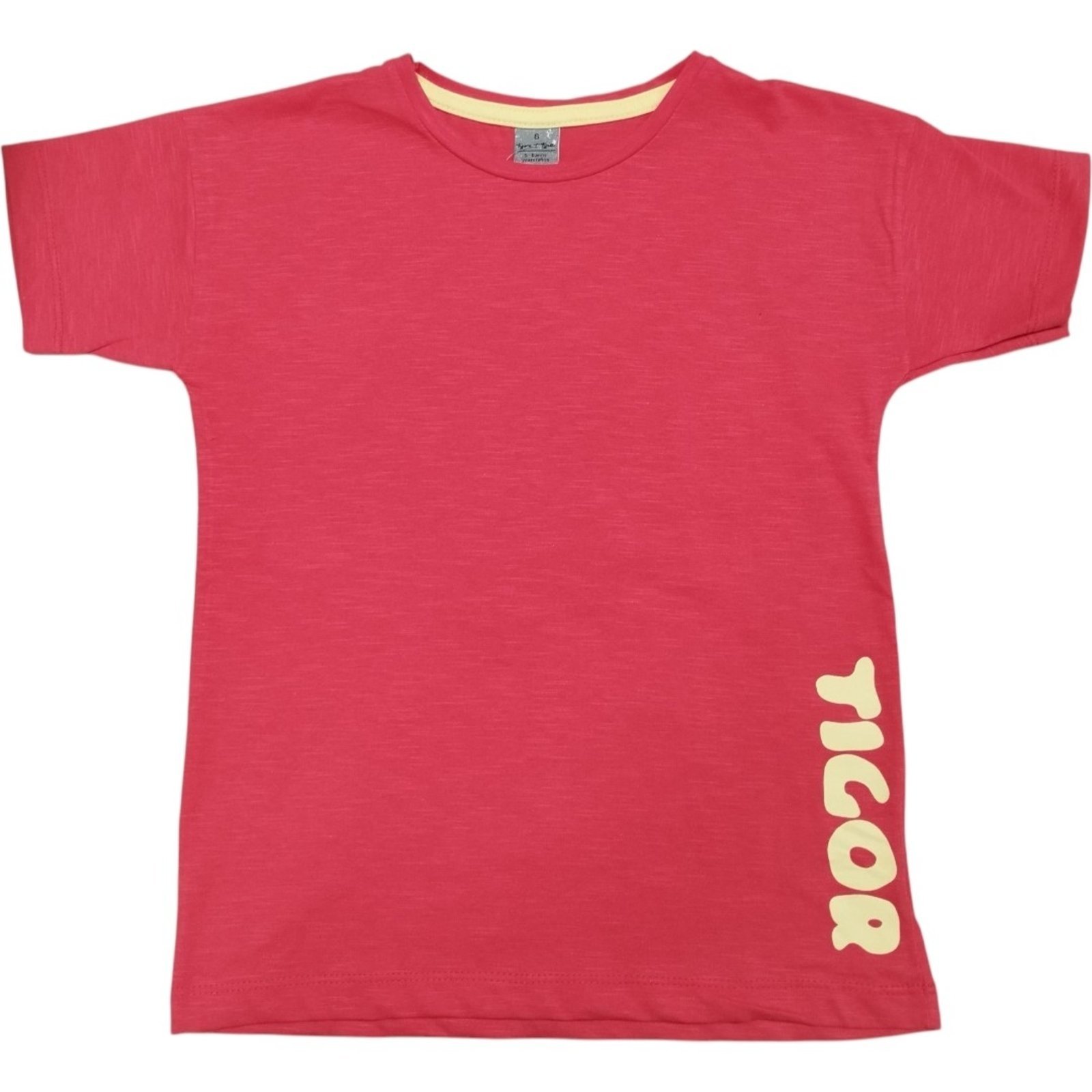 Infantil - Camiseta Manga Curta Menino Tigor T. Tigre