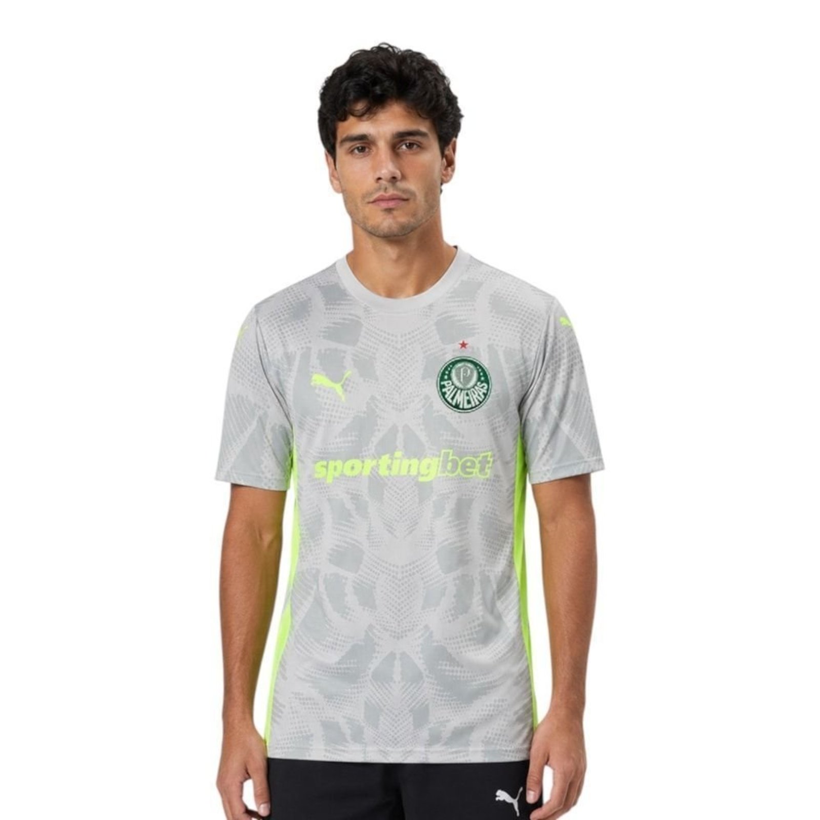 Camisa Puma Palmeiras Goleiro III 2025 Masculina - Cinza - Puma