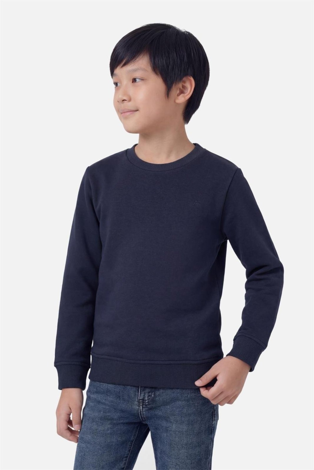 Infantil - Moletom Aramis Manga Longa Gola Careca Marinho