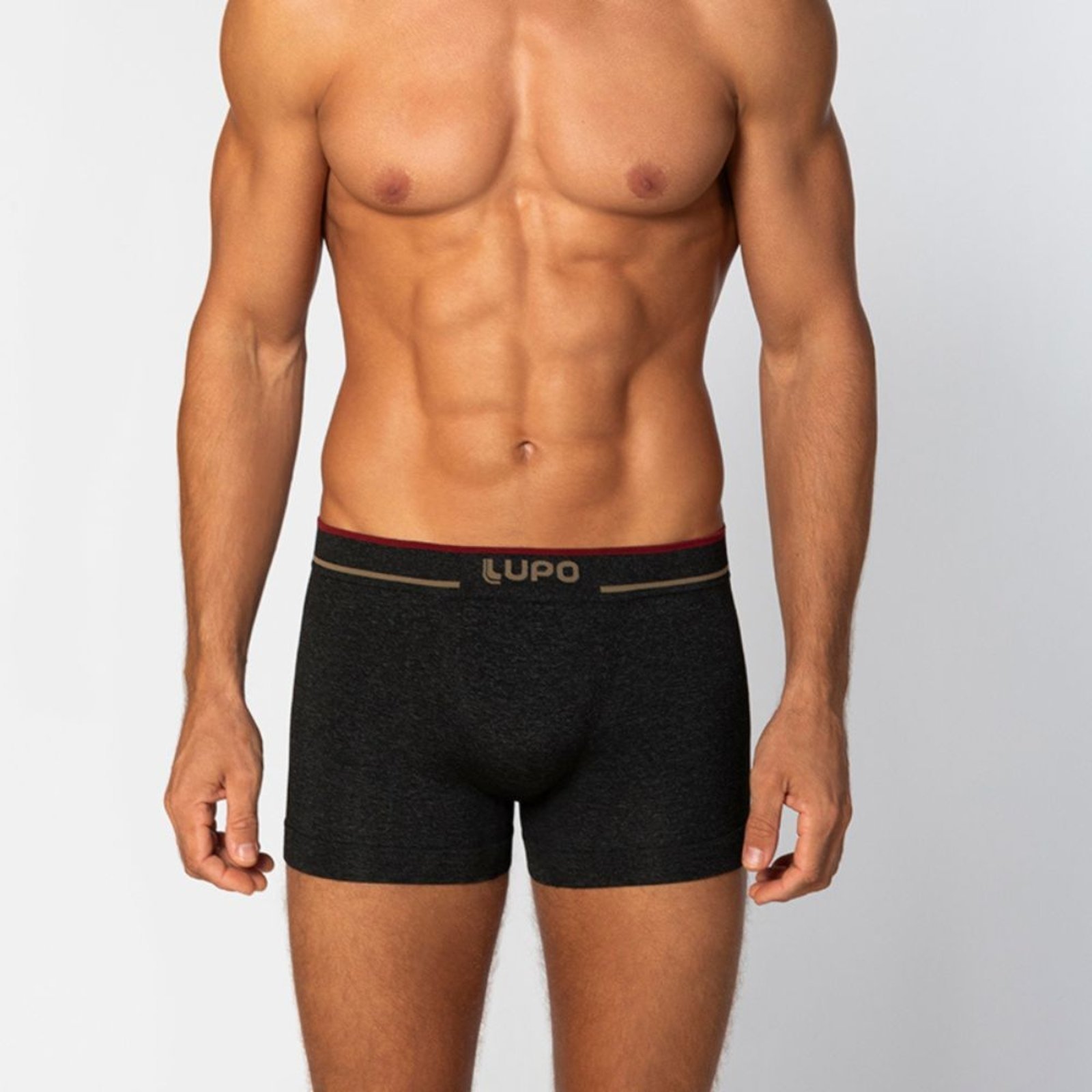 Cueca Lupo Boxer Microfibra Sem Costura 733-004