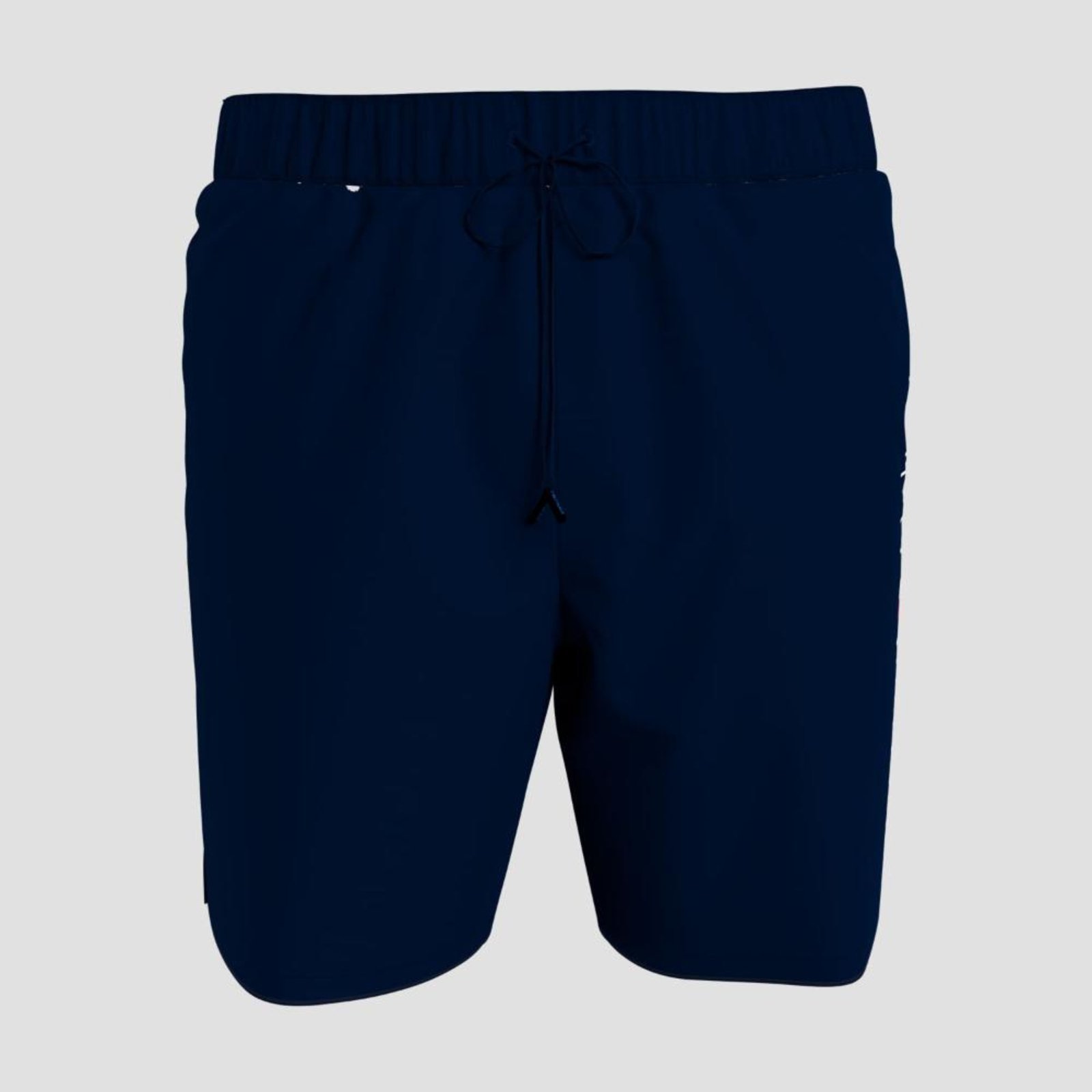 Bermuda De Banho Logo Hilfiger Flag Longa – GG