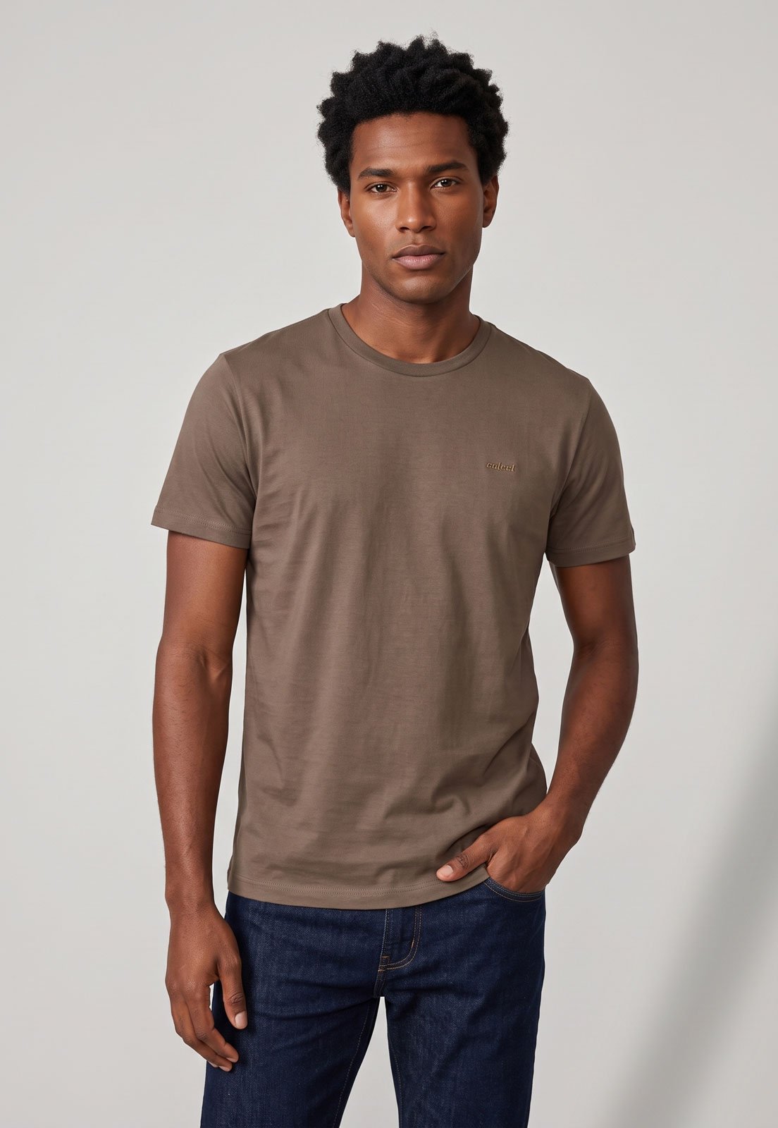 Camiseta Masculina Colcci Gola Redonda Marrom