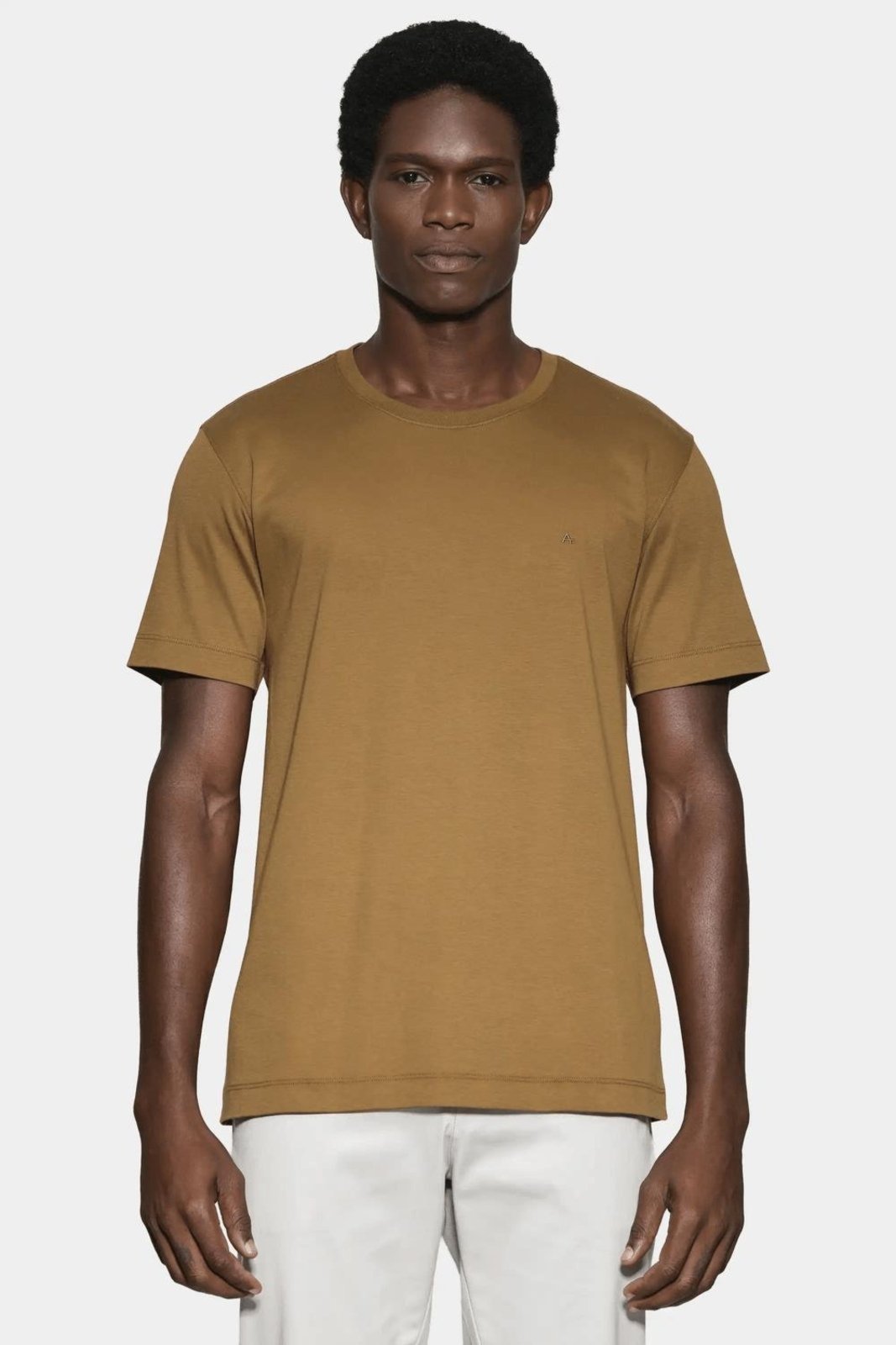 Camiseta Aramis Manga Curta Interlock