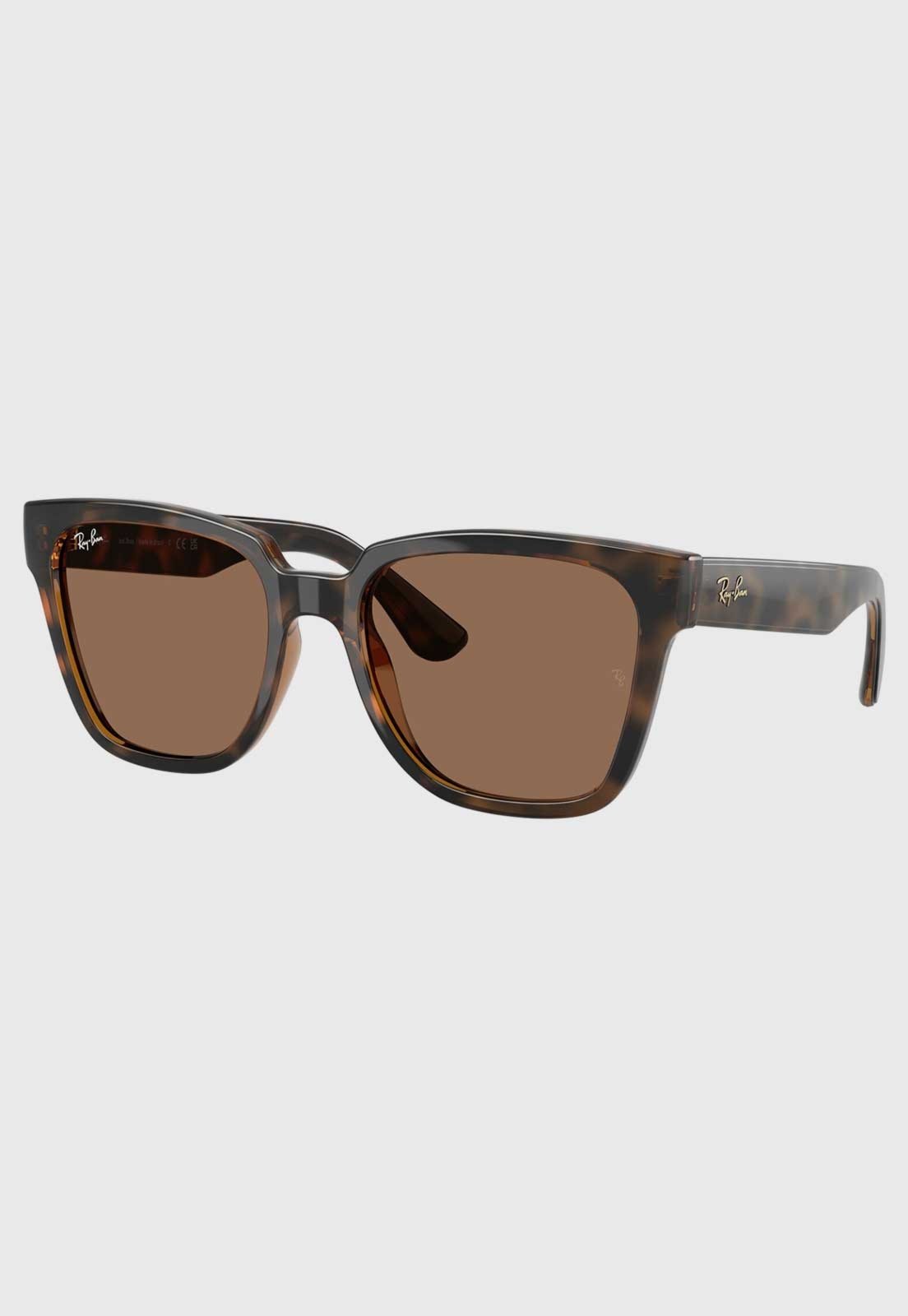 Vista 2 Óculos De Sol Ray-Ban 0Rb4437L Lente Degradê marrom Ray-Ban marrom