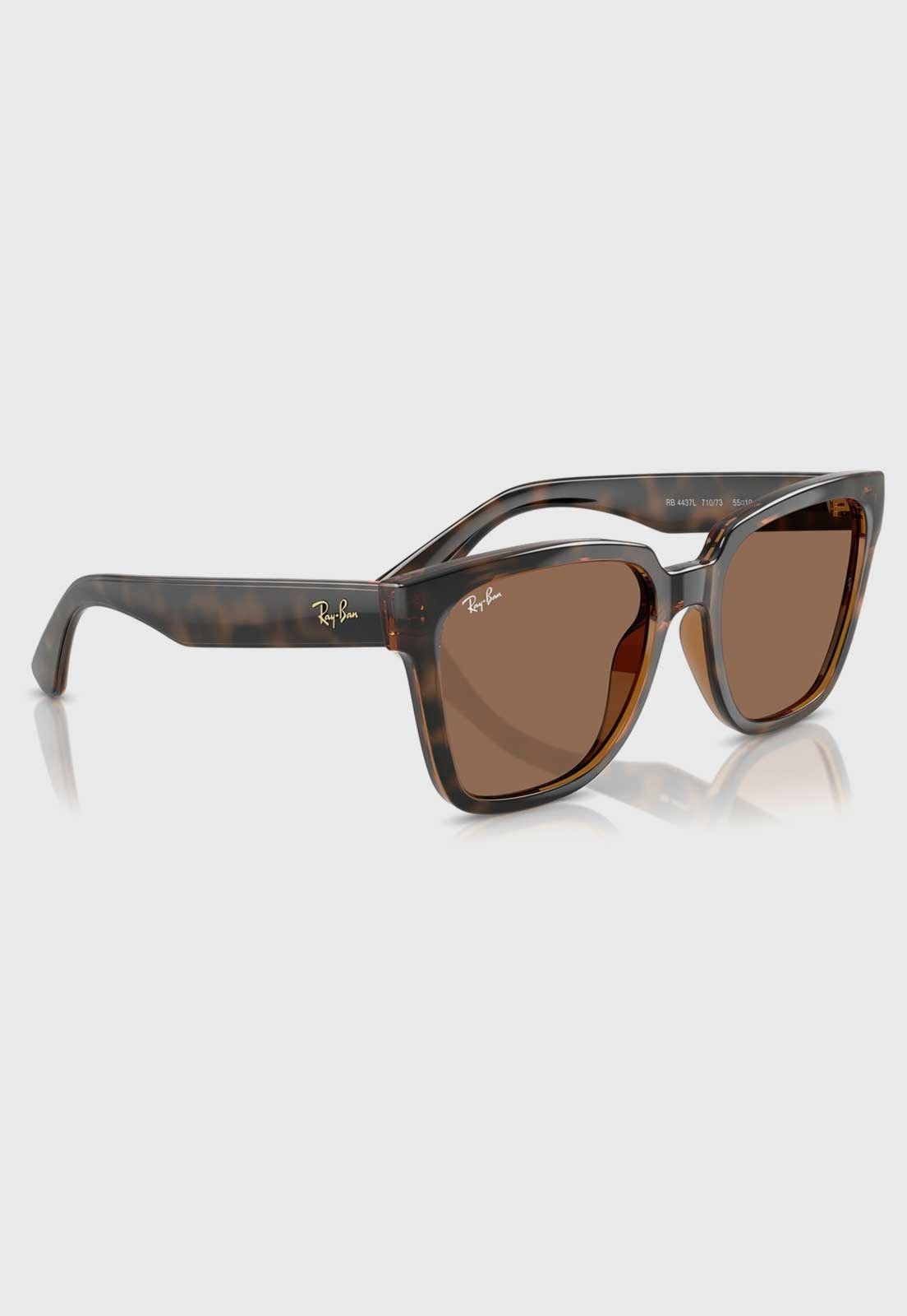Vista 3 Óculos De Sol Ray-Ban 0Rb4437L Lente Degradê marrom Ray-Ban marrom