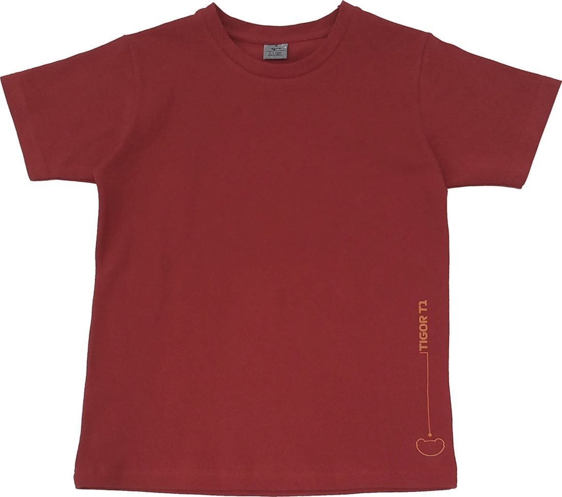 Infantil - Camiseta Masculina Tigor T. Tigre