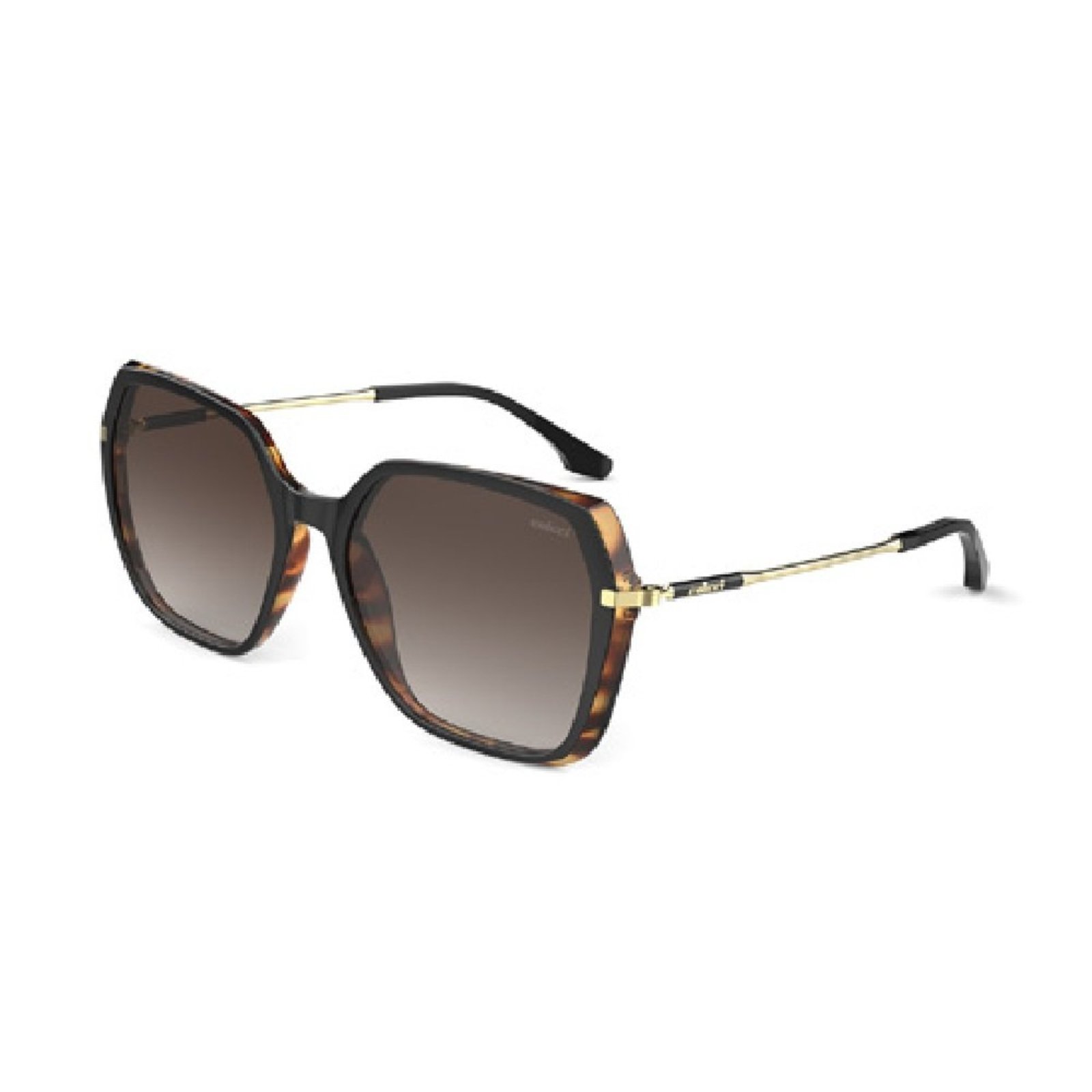 Oculos Solar Colcci - C0167agt34