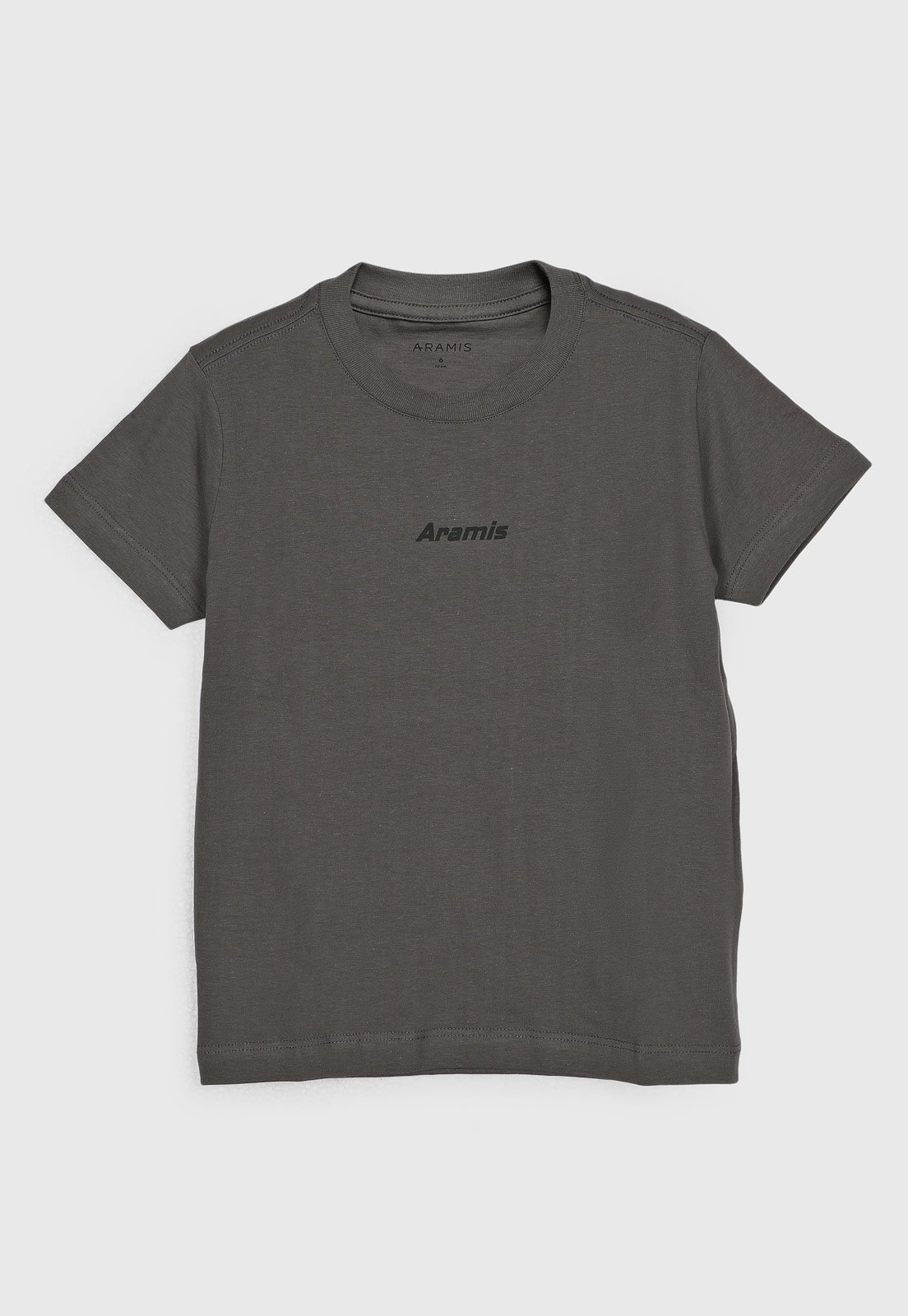 Infantil - Camiseta Aramis Gola Redonda Cinza