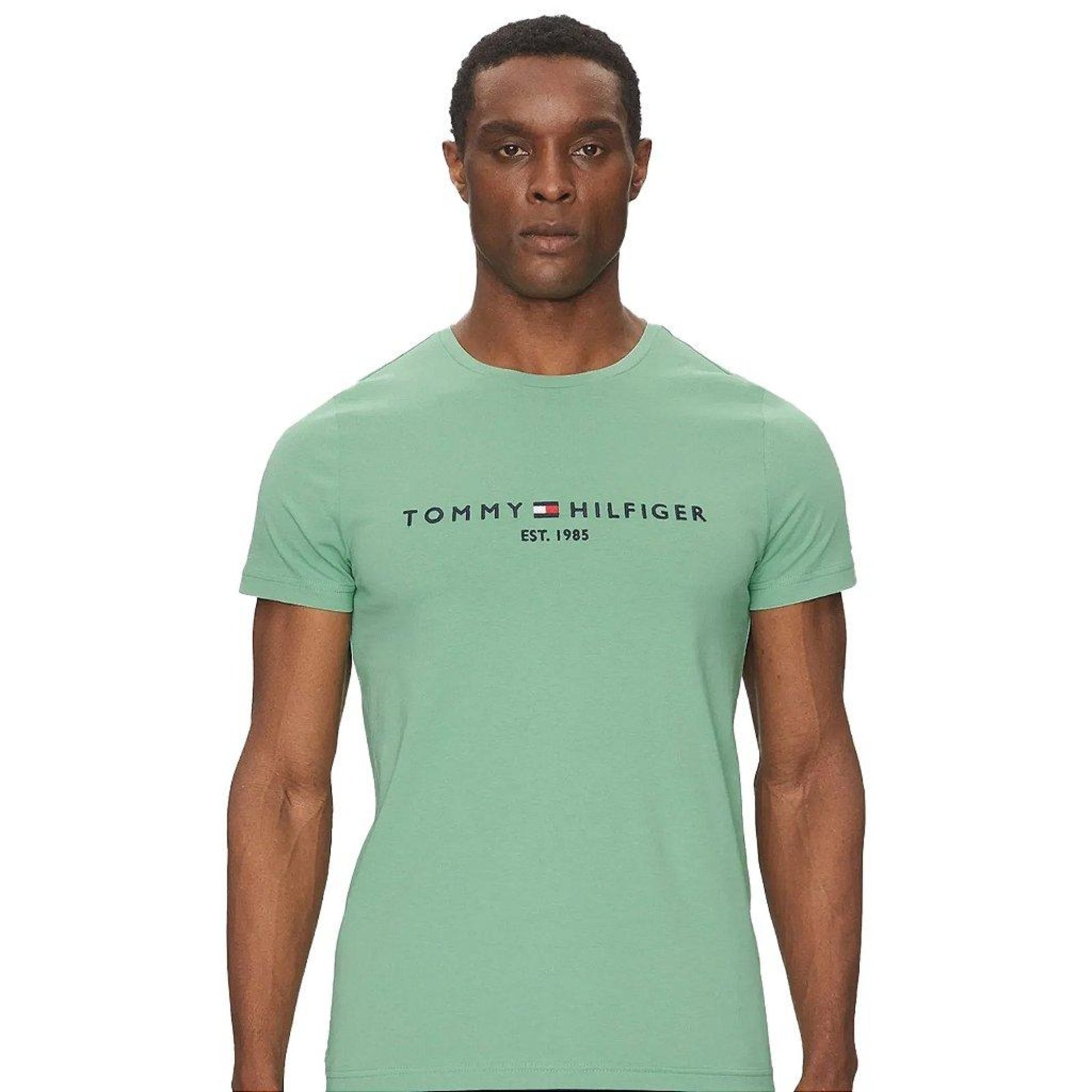 Vista 2 Camiseta Tommy Hilfiger Logo Tee Masculina Claro verde Tommy Hilfiger verde