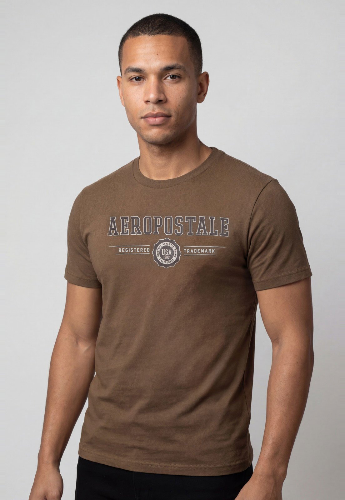 Camiseta Masculina Aeropostale Estampa Frontal Marrom