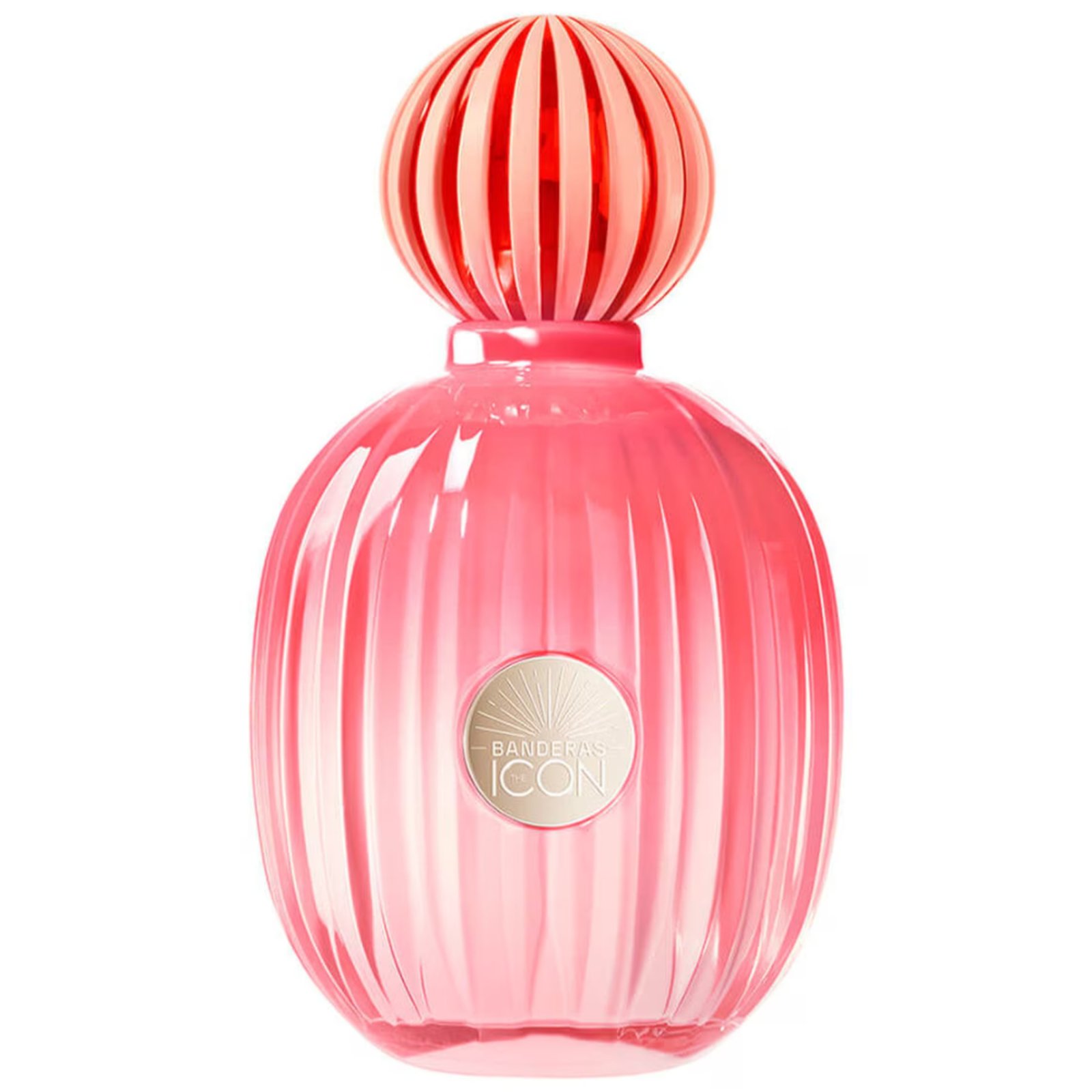 The Icon Splendid Antonio Banderas Perfume Feminino Eau de Parfum