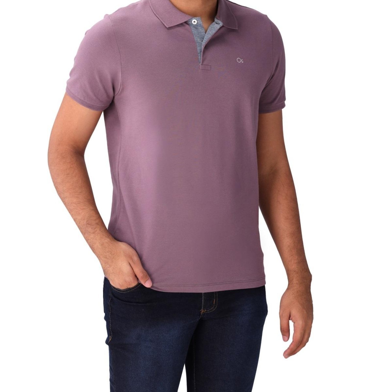 Camisa Polo Casual Masculina Ogochi 007490001 Roxo
