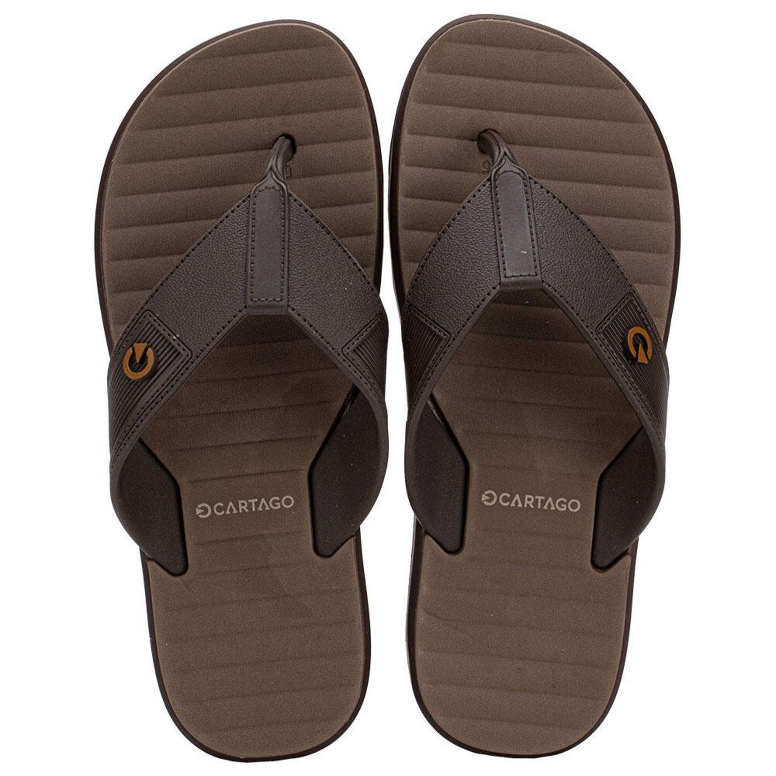 Kit Chinelo Masculino Medelin E Carteira Cartago 12534 3292534 Marrom