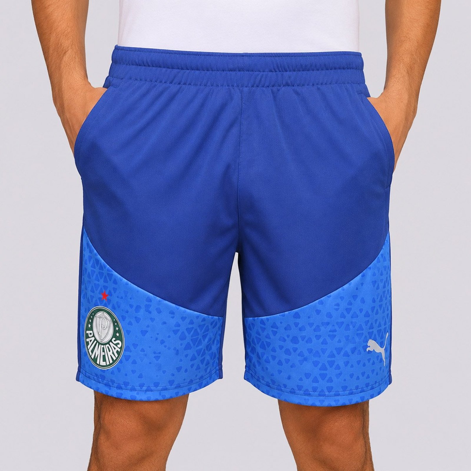 Calção Puma Palmeiras Treino Azul