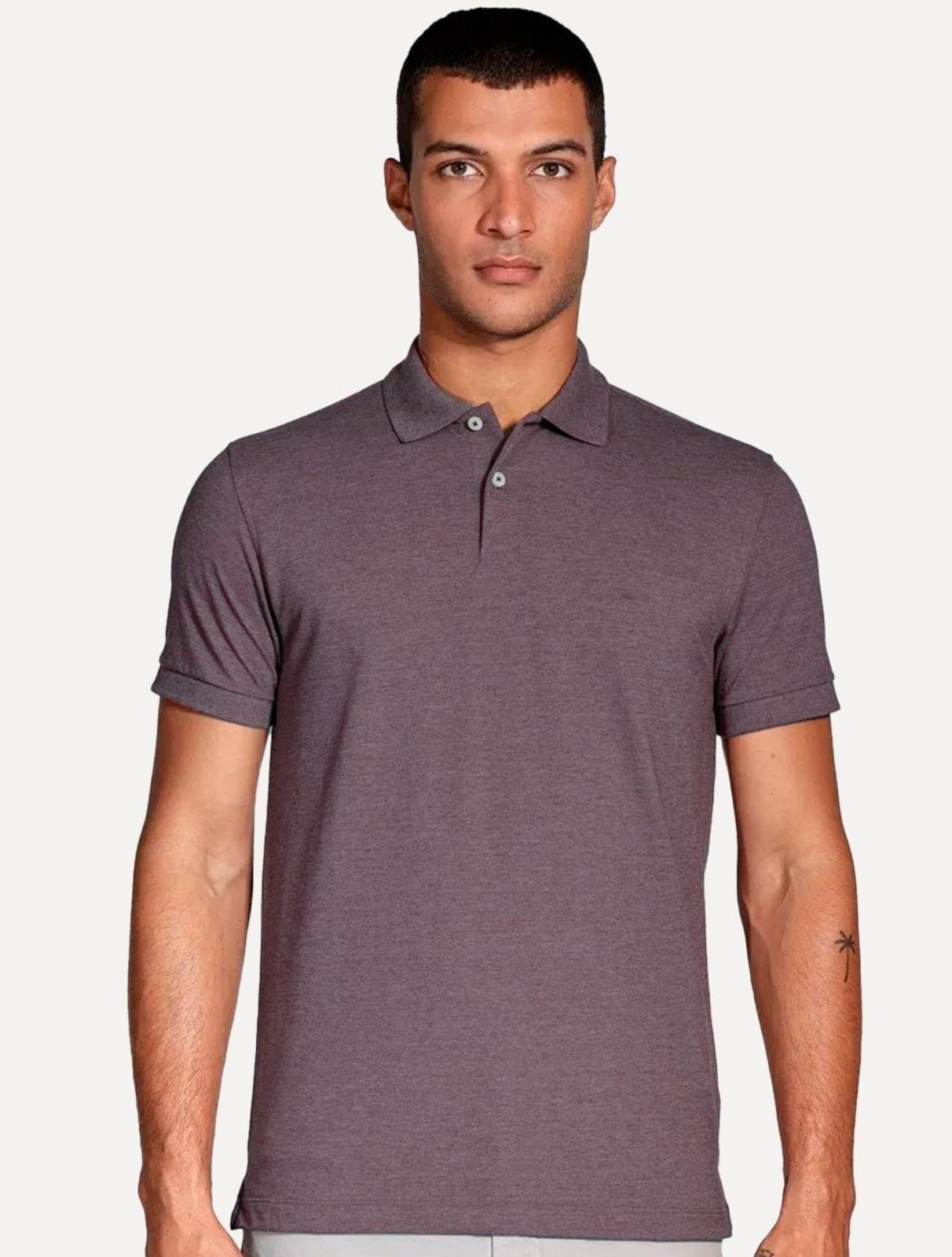 Polo Aramis Masculina Regular Basic Piquet Roxo Mescla