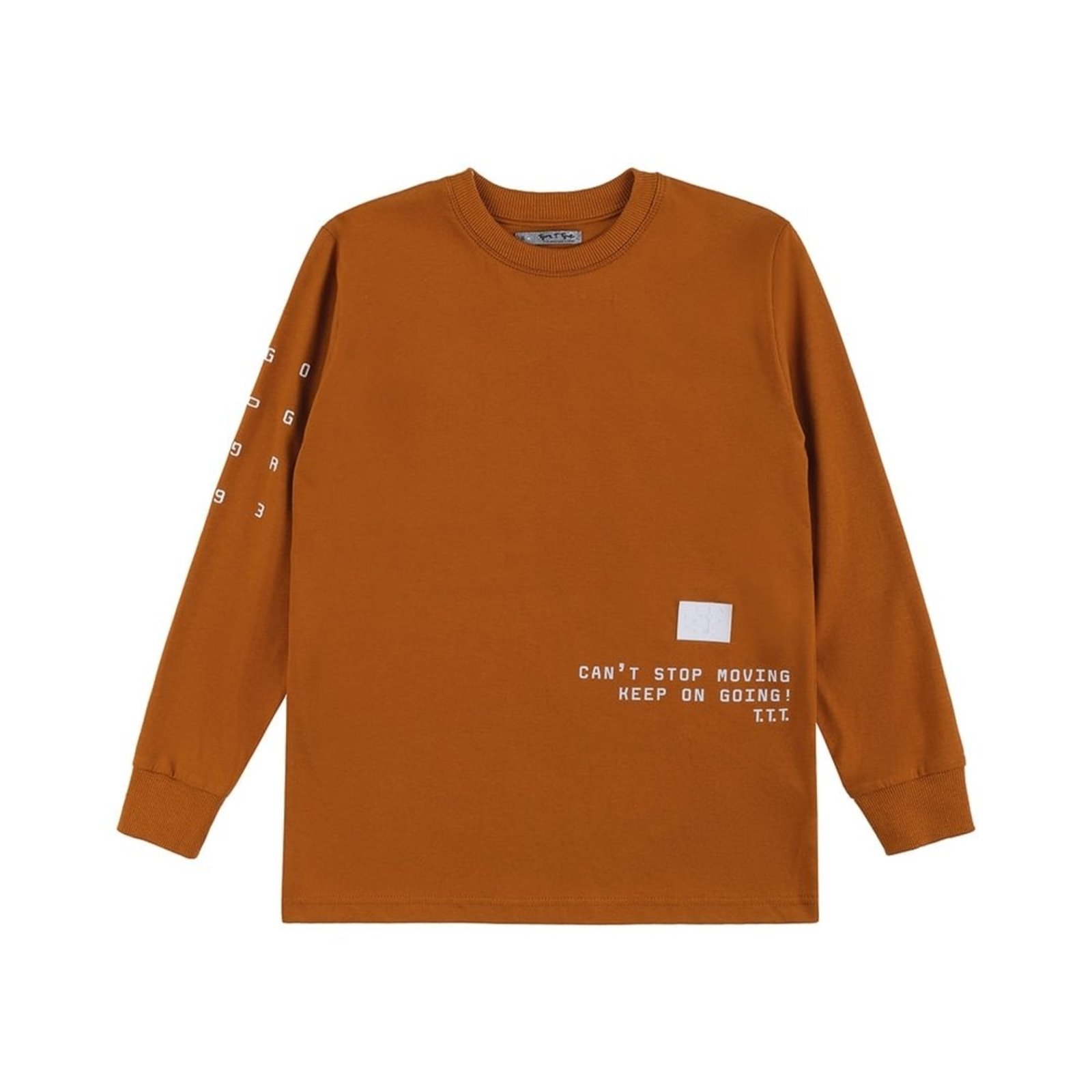 Infantil - Camiseta Manga Longa Menino Tigor T. Tigre