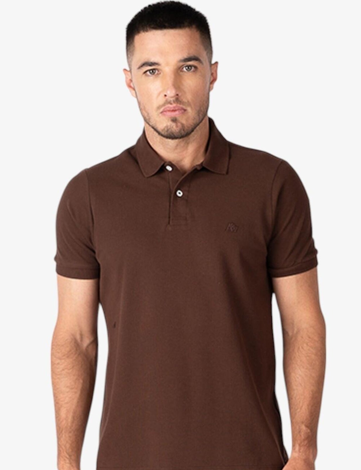 Camisa Polo Masculina Manga Curta Aéropostale 87113201-15 Marrom