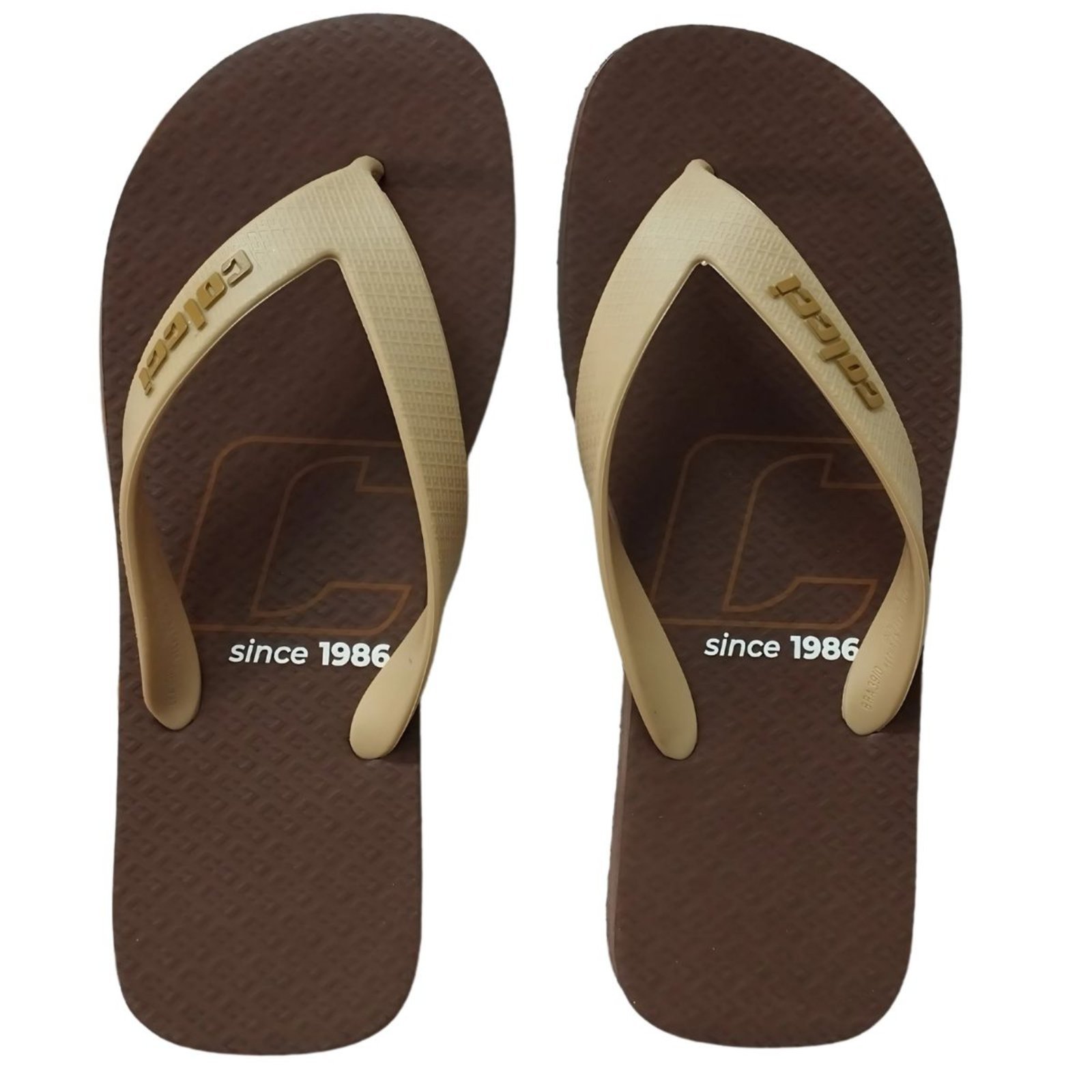 Chinelo Colcci Masculino West