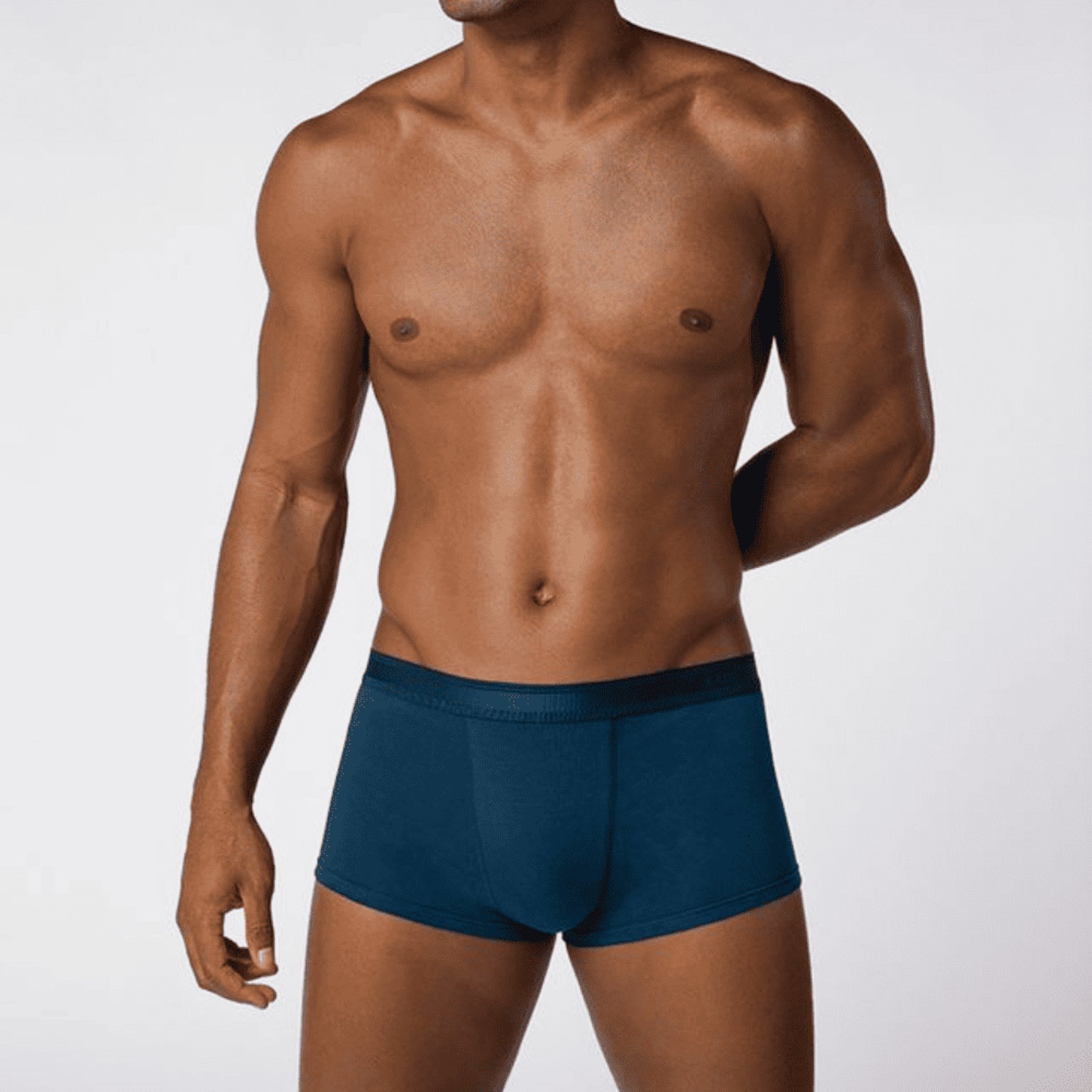 Cueca Lupo Sunga Algodão com Elastano 480-003