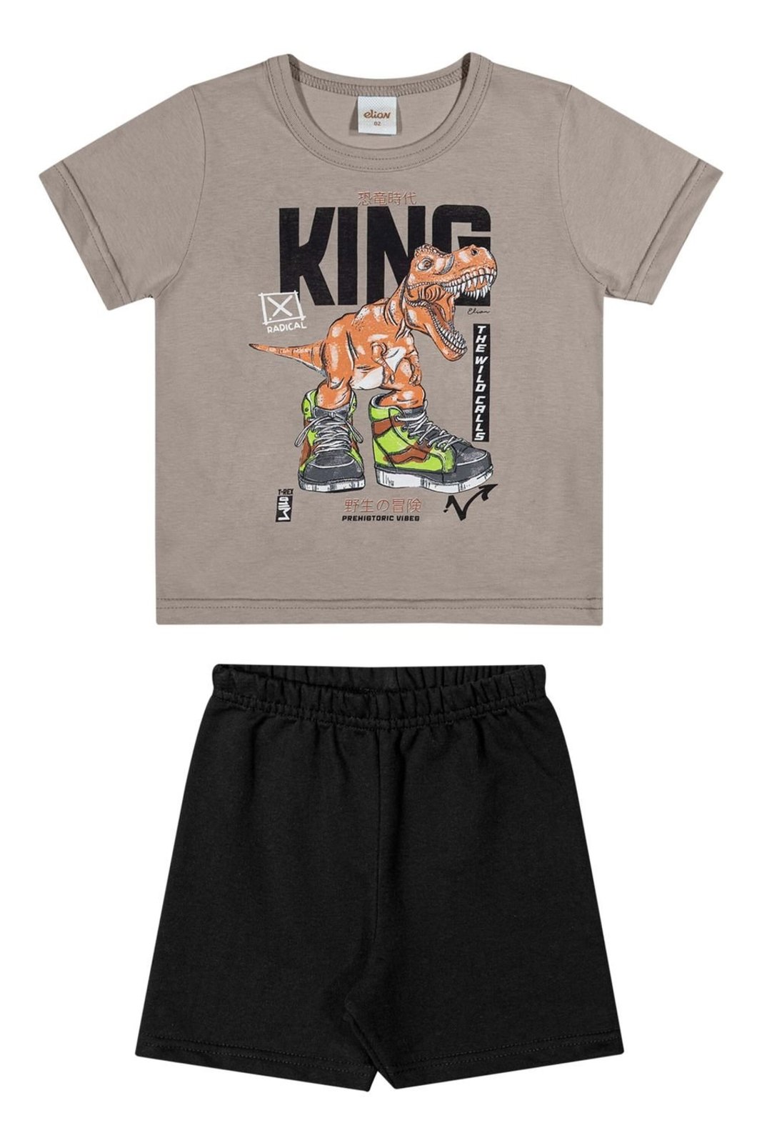 Infantil - Conjunto Menino Estampa Radical Elian Cinza